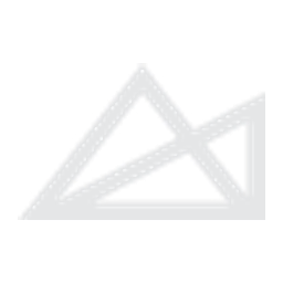 Champion Iron logo