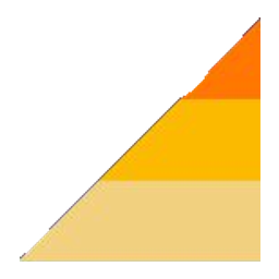 West Coast Silver logo