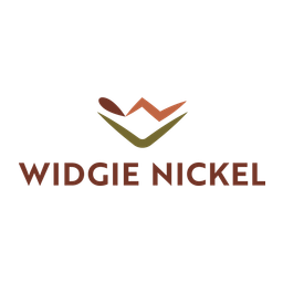 Win Metals logo