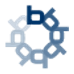 Bravura Solutions Limited. logo