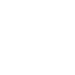 DE GREY MINING LIMITED logo