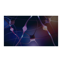 Entropy Neurodynamics logo