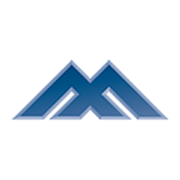 Metals X logo
