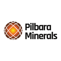 Pls Group logo