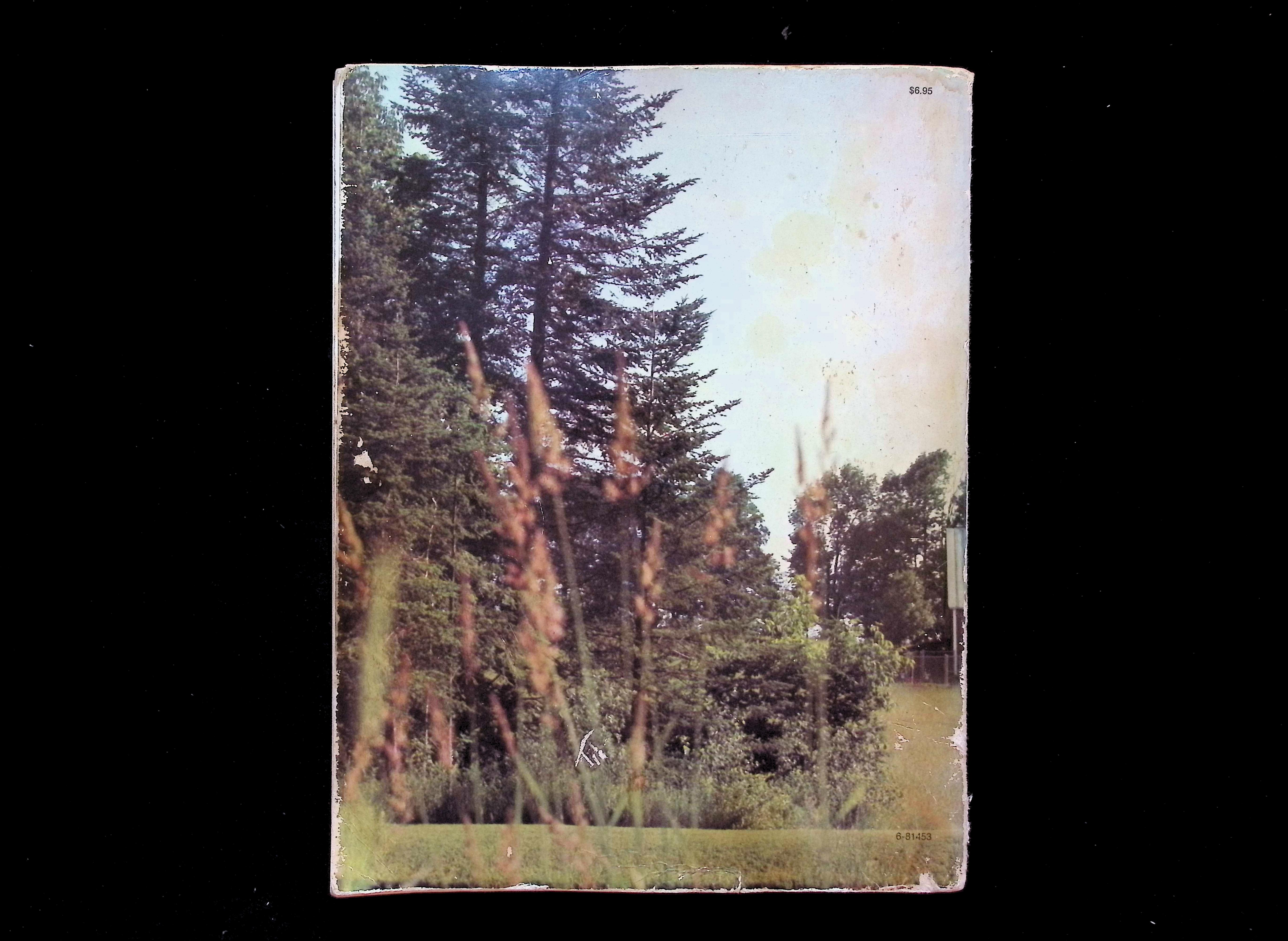 Bentley Farm Cookbook: An Intimate Treasury of Recipes from a New England Kitchen — image 2