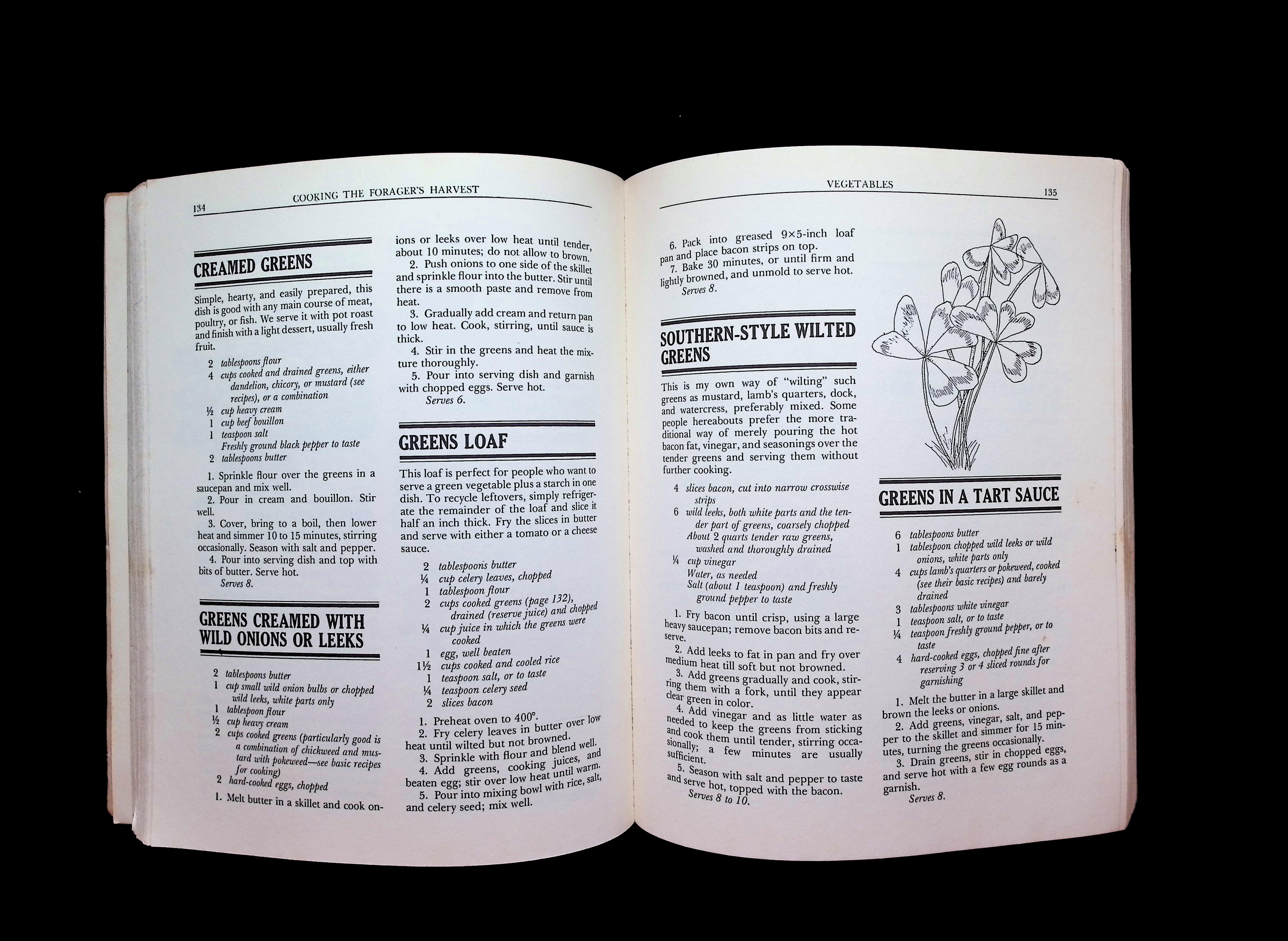 Billy Joe Tatum's Wild Foods Cookbook & Field Guide — image 4