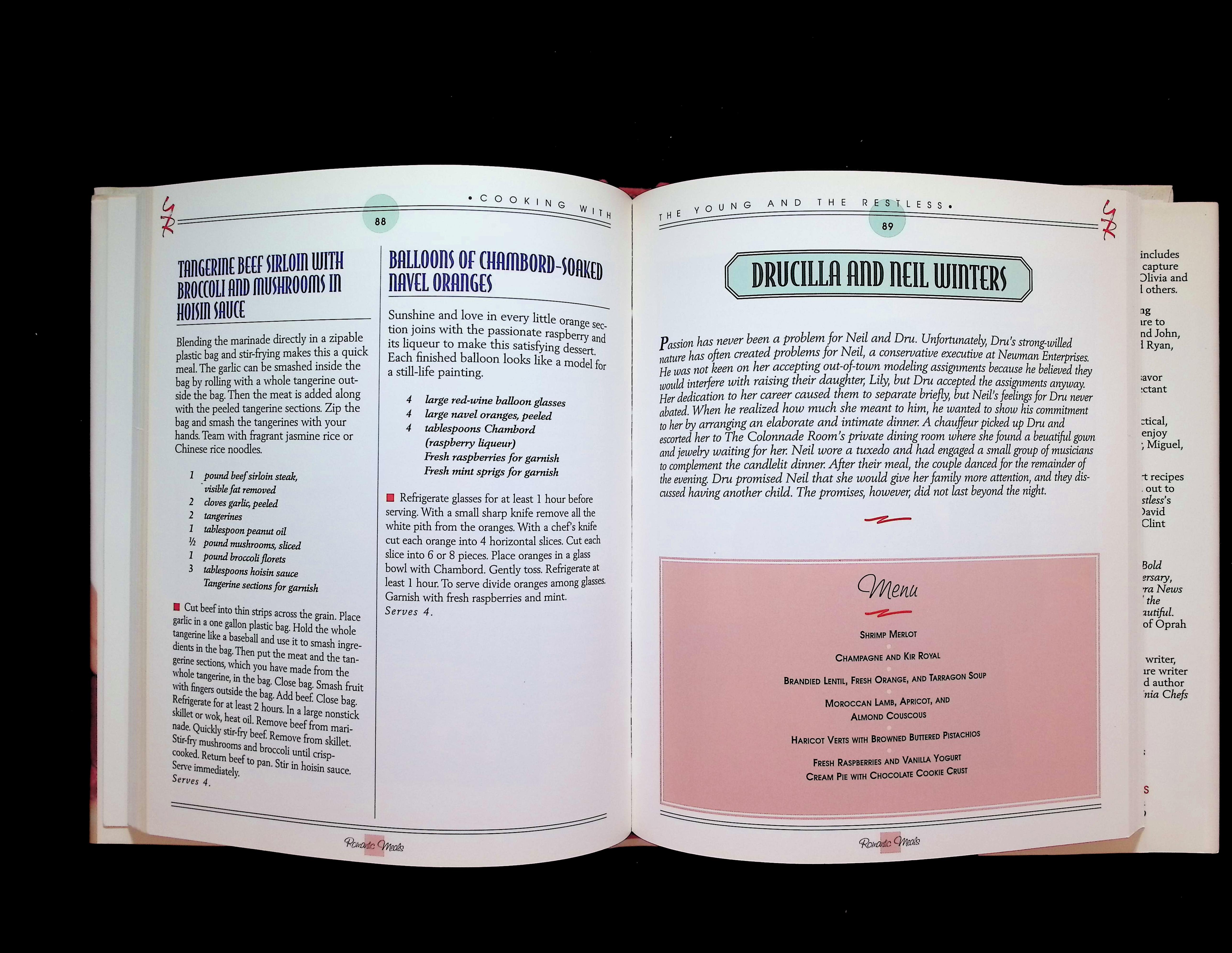 Cooking with The Young and the Restless: Recipes from Television's Favorite Soap Opera — image 4