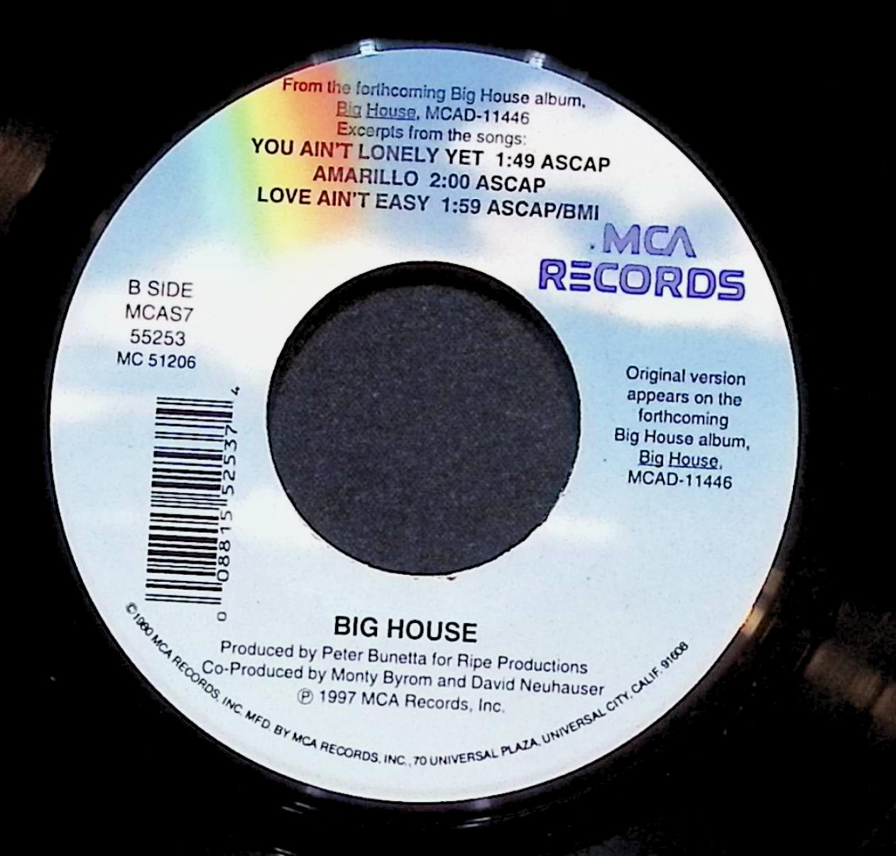 Big House (3) Cold Outside 7'' Single 1997 MCAS7 55253 Folk — image 3