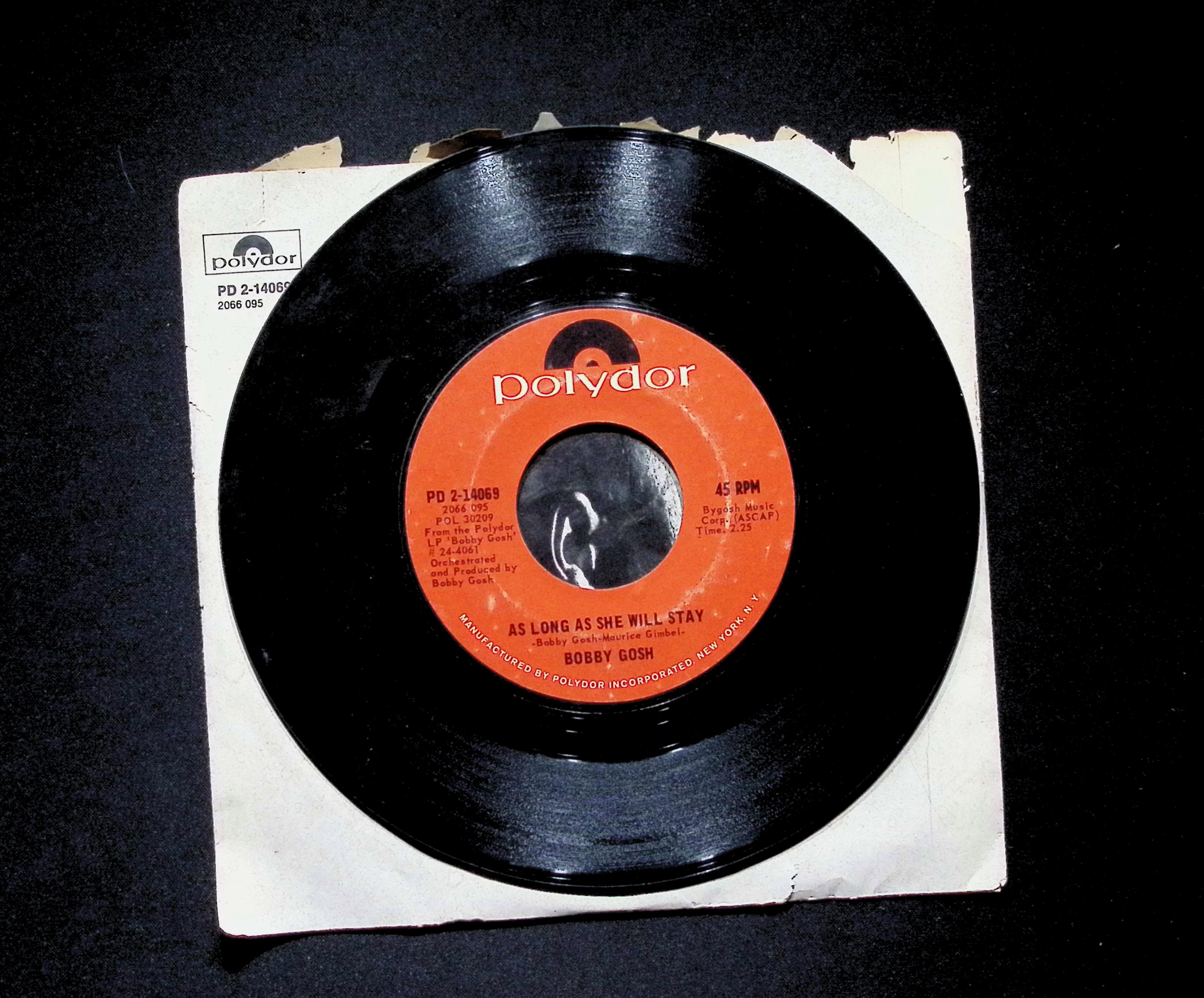 Bobby Gosh Double Life 7" Single 2017 PD 2-14069 Rock — image 3