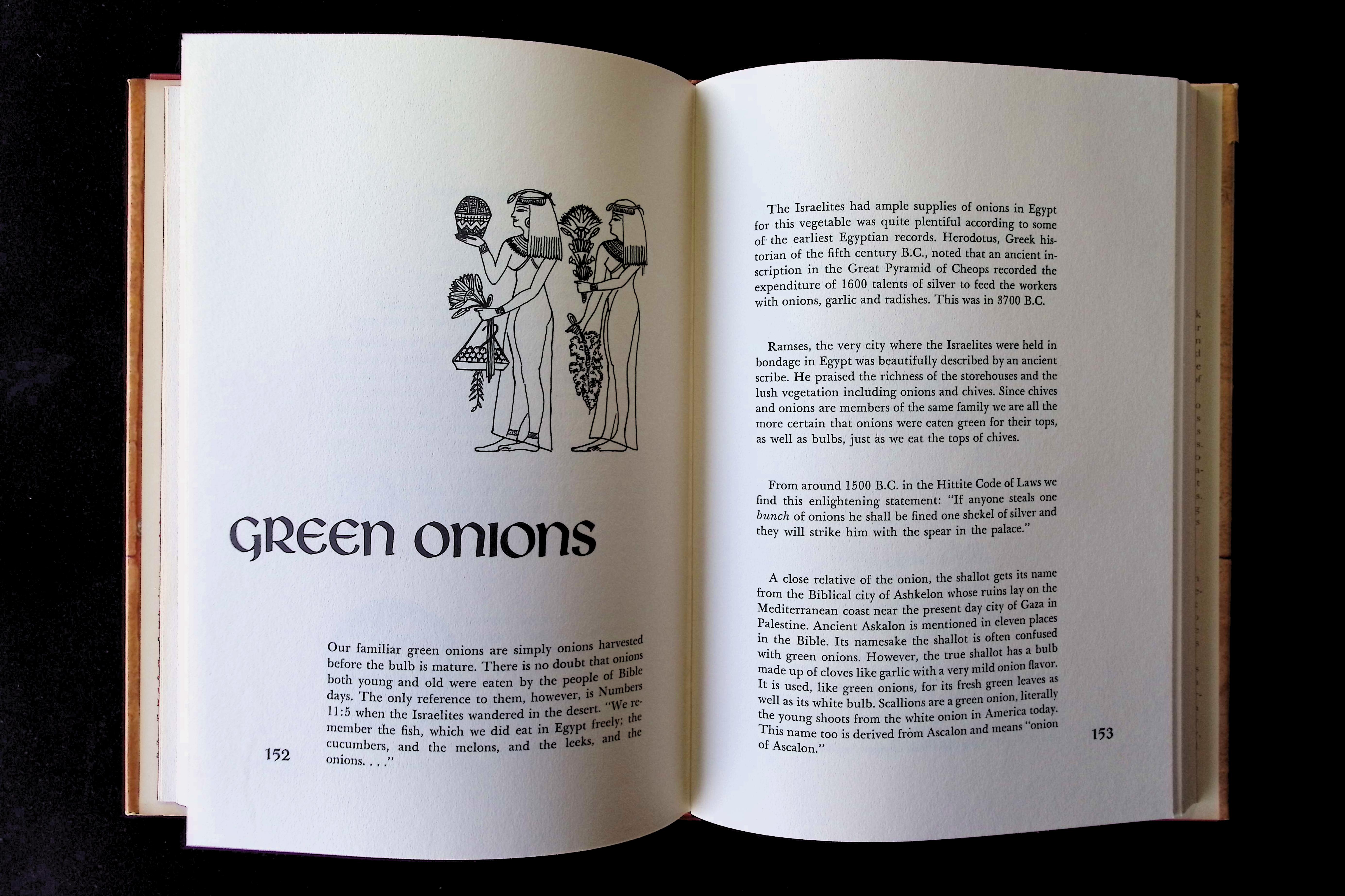 Cookbook of Foods from Bible Days — image 5