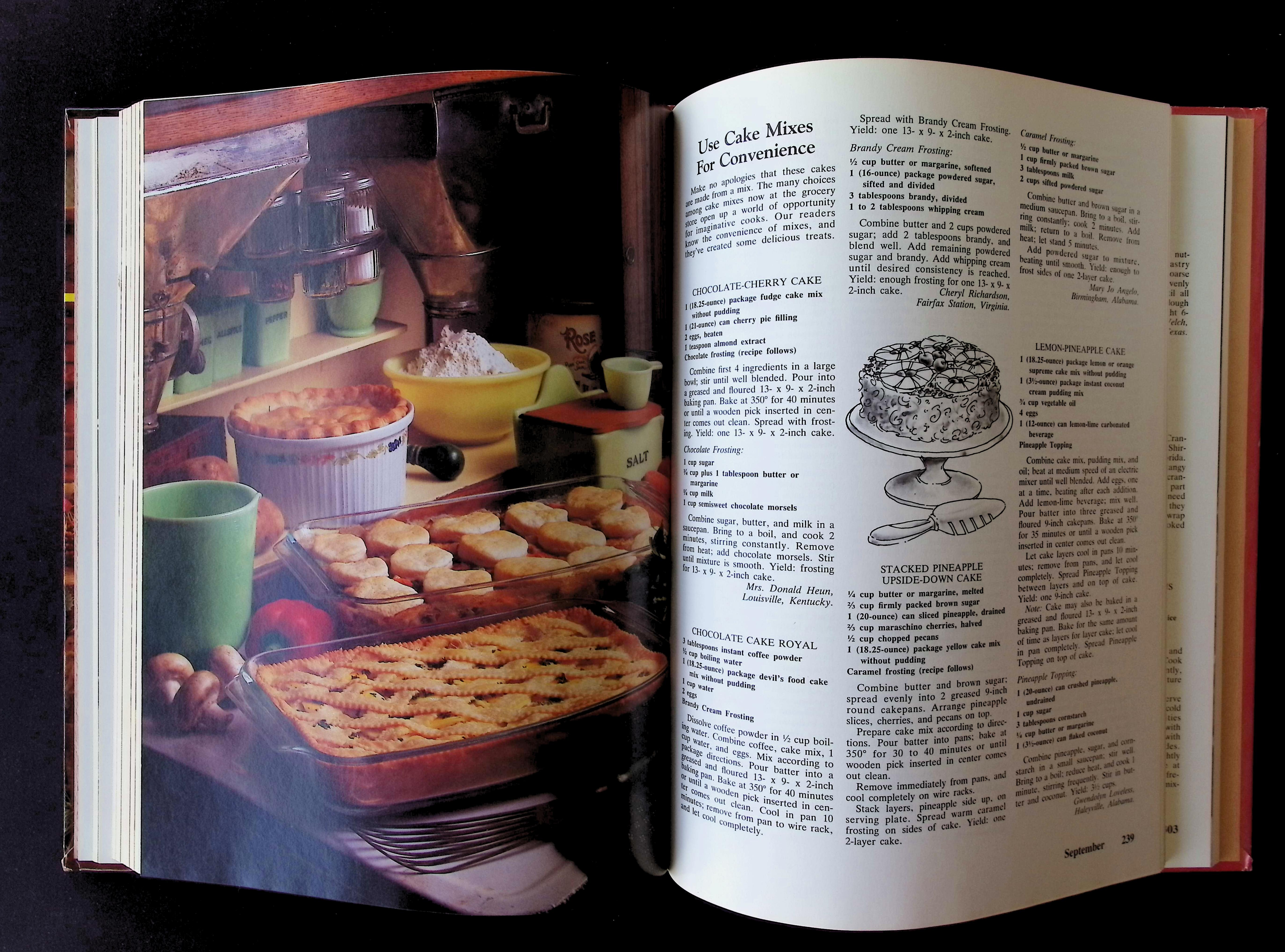 Southern Living 1986 Annual Recipes — image 4