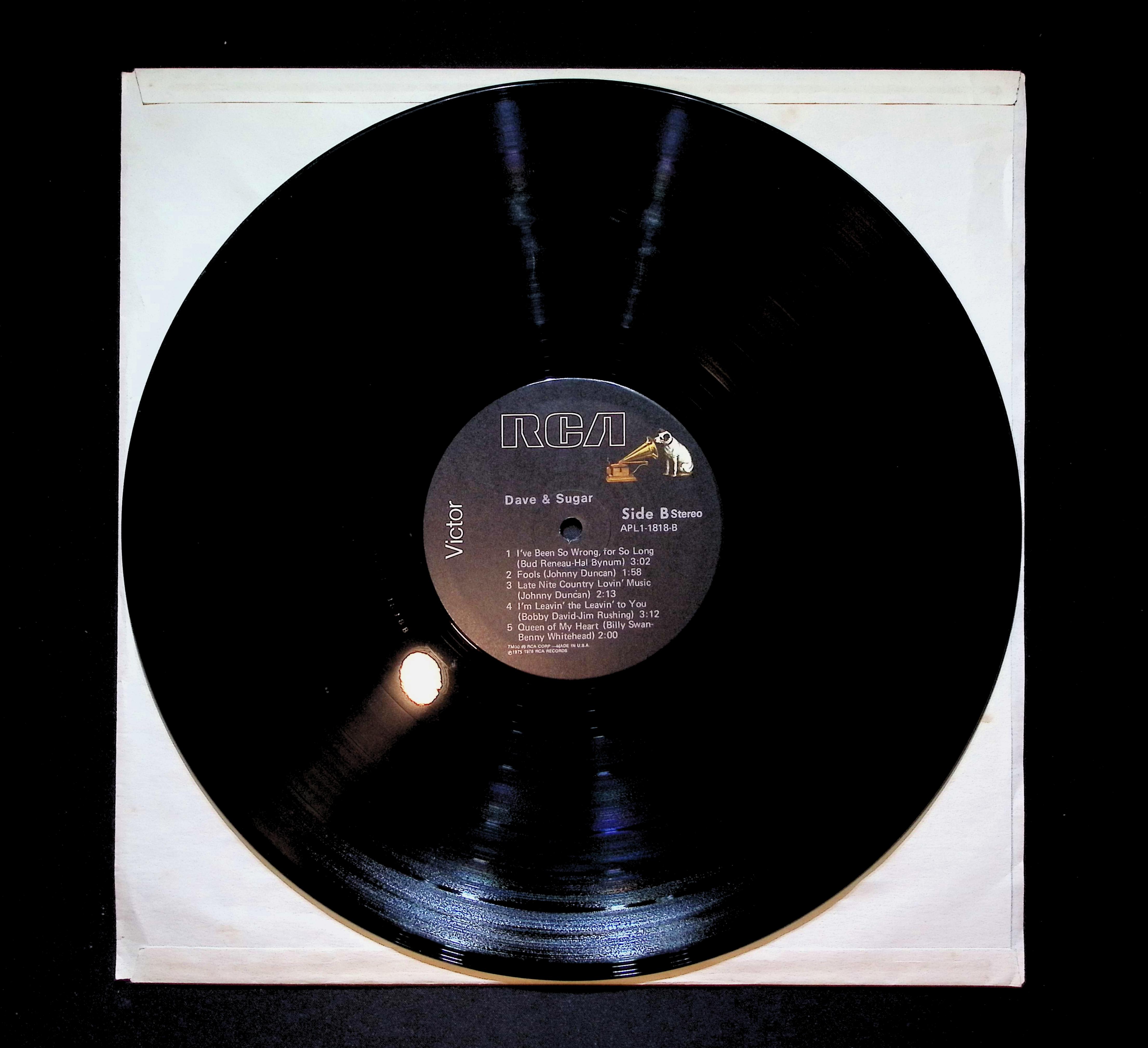 Dave And Sugar Dave & Sugar 12" LP 1976 APL1-1818 Folk, World, & Country — image 3
