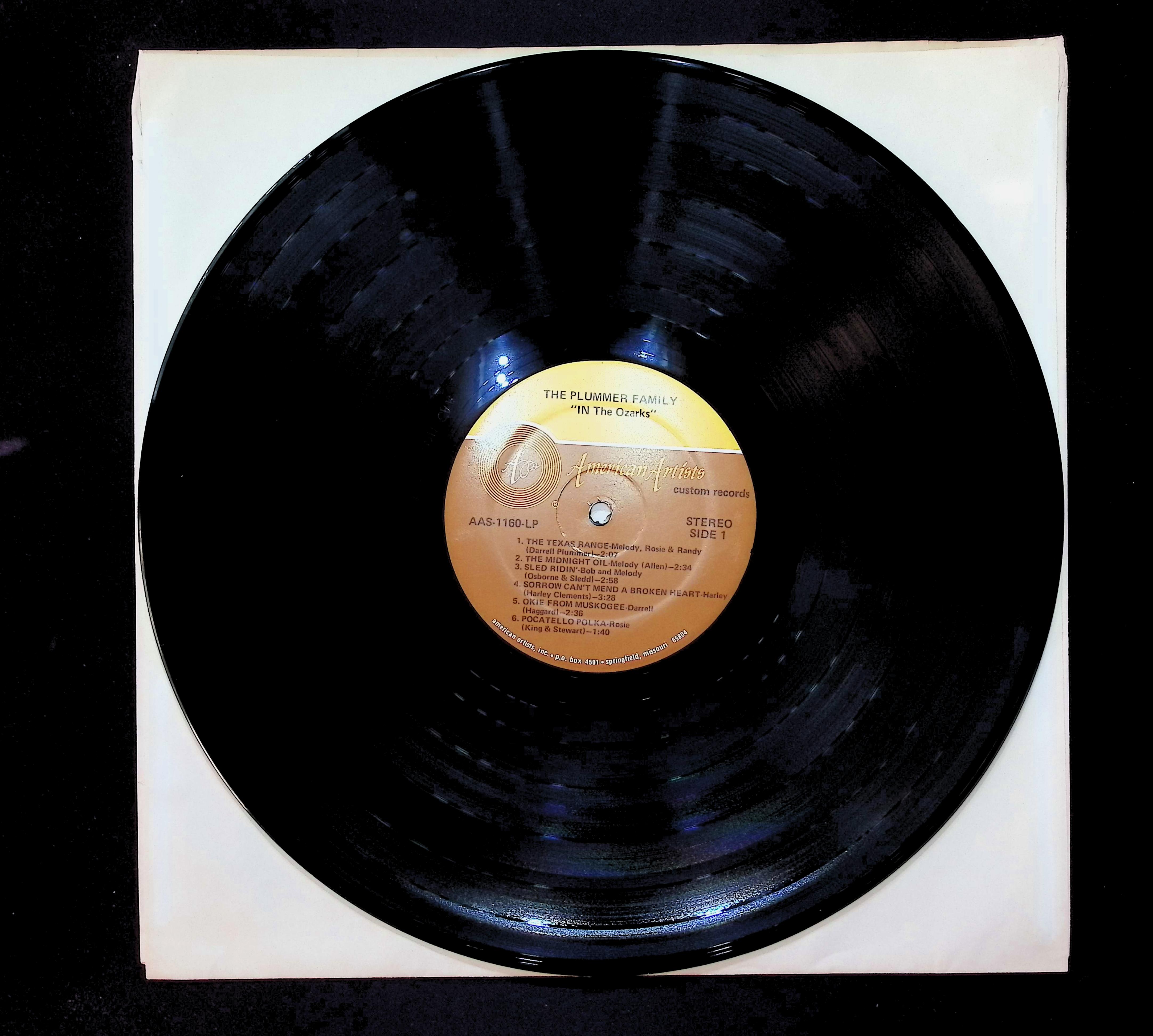 The Plummer Family Country Music Show In The Ozarks 12" LP 1975 AAS-1160-LP Blues — image 5