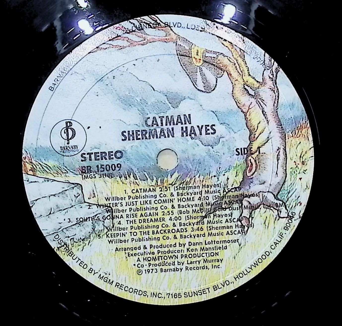 Sherman Hayes Catman 12" LP 1973 BR-15009 Rock — image 2