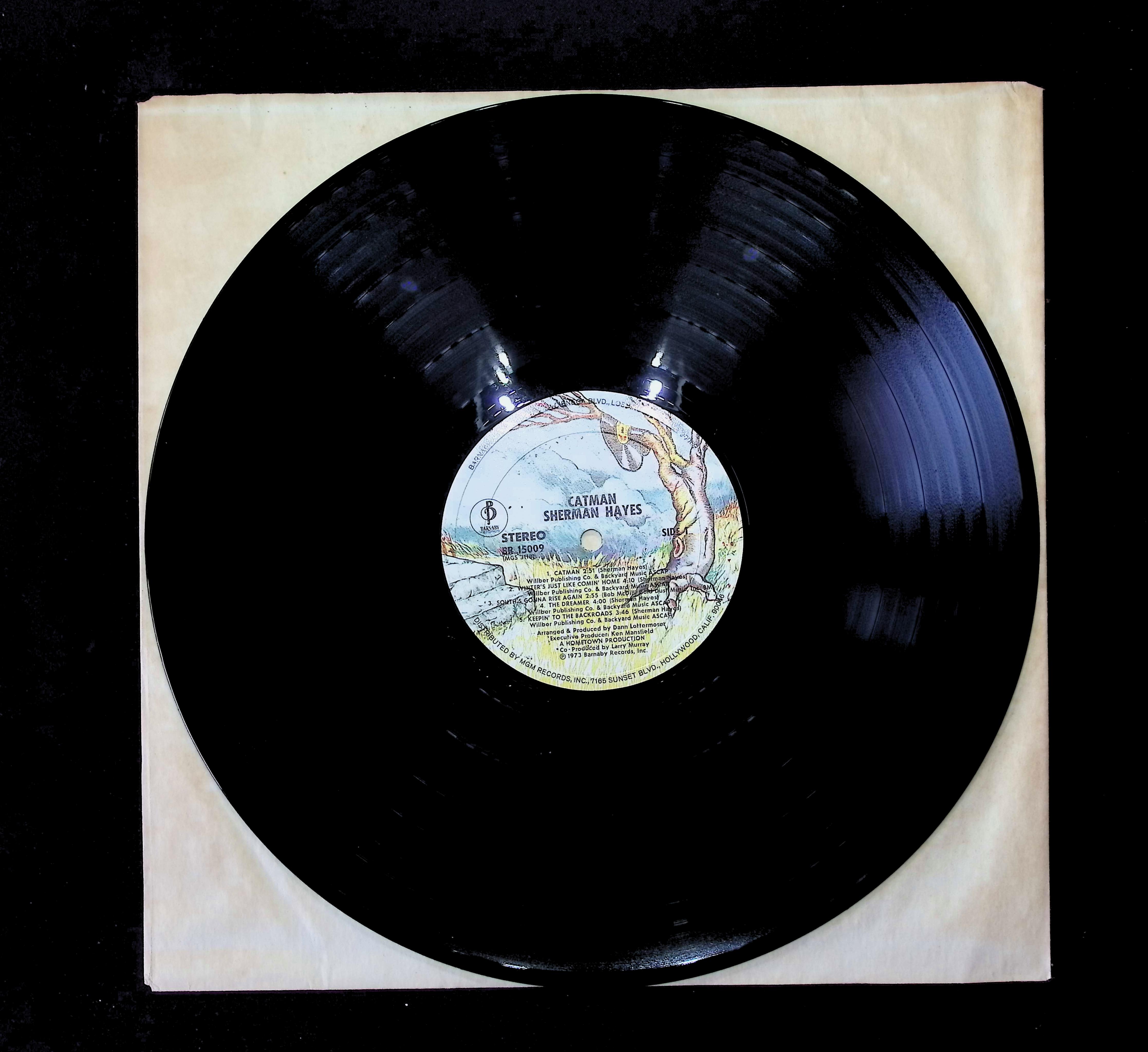 Sherman Hayes Catman 12" LP 1973 BR-15009 Rock — image 3