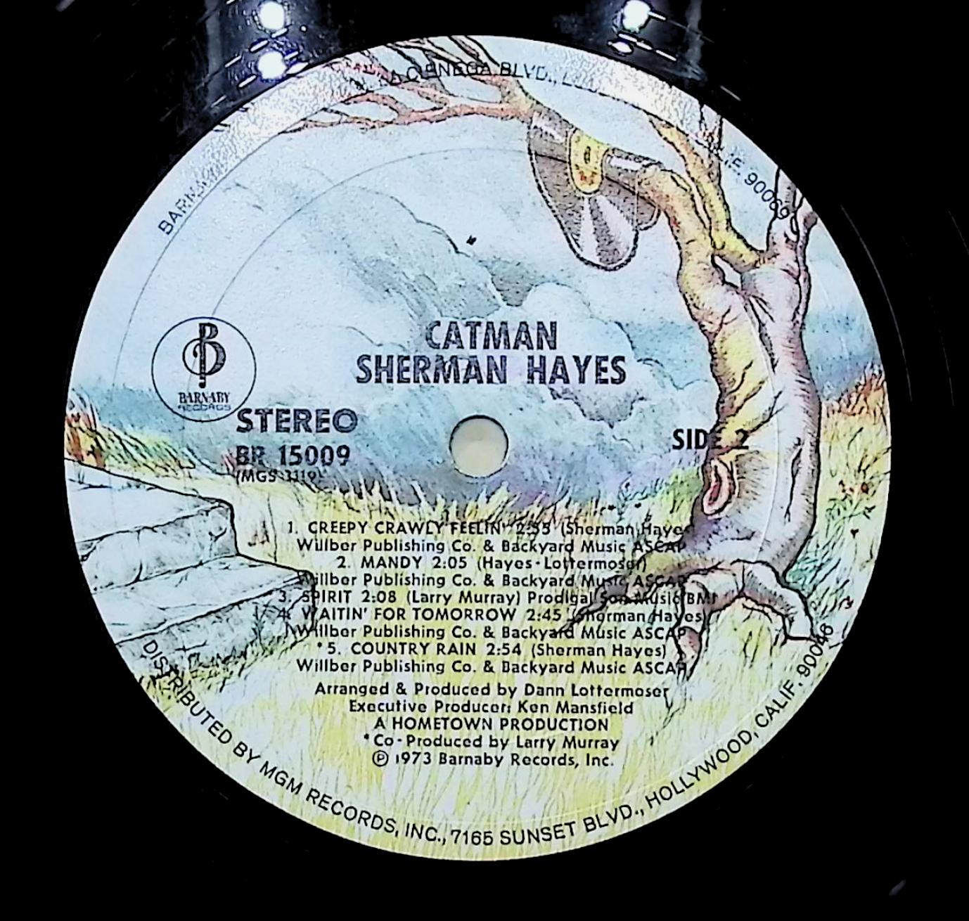 Sherman Hayes Catman 12" LP 1973 BR-15009 Rock — image 4