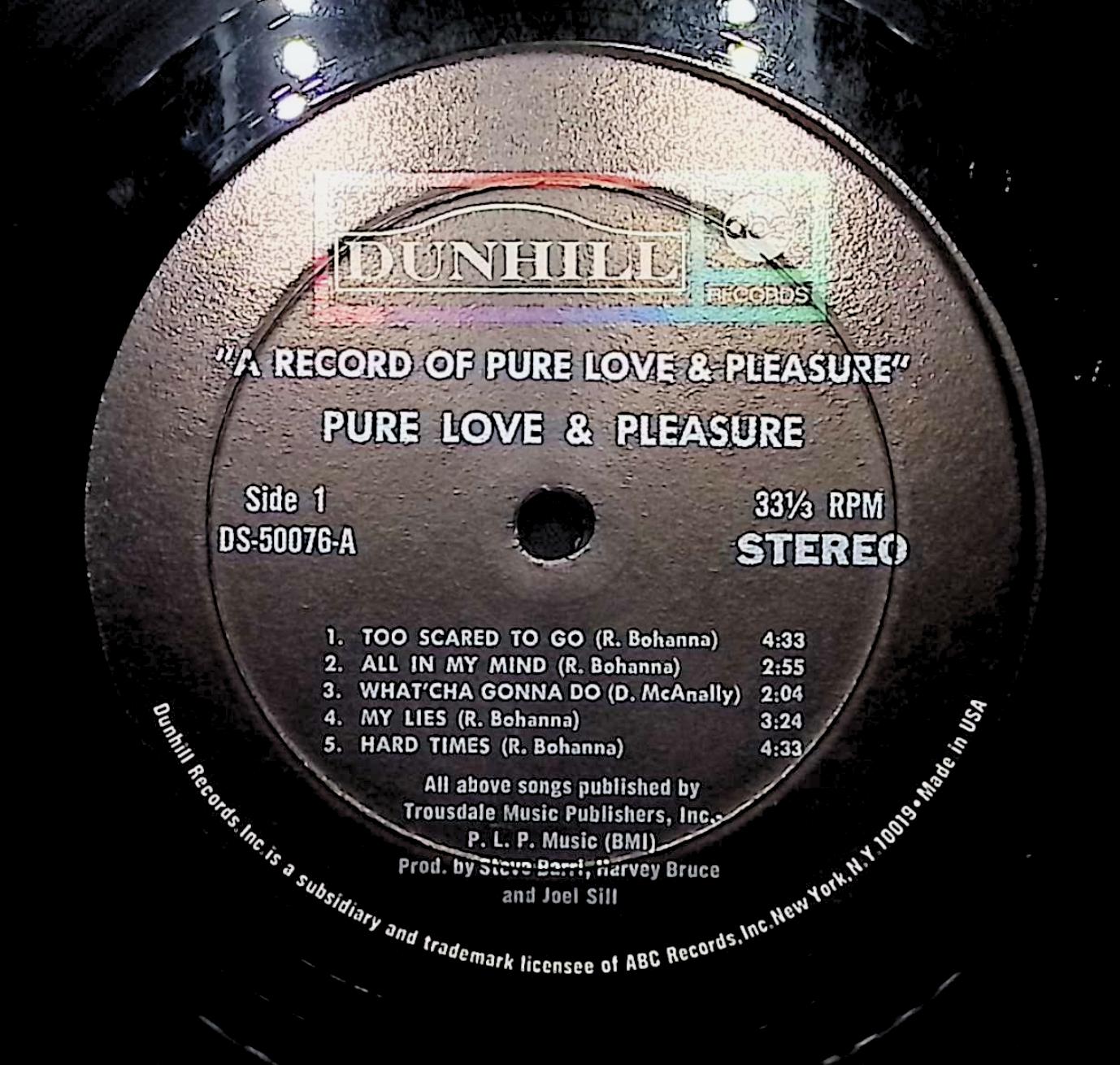 Pure Love And Pleasure A Record Of Pure Love & Pleasure 12" LP 1970 DS-50076 Rock — image 2