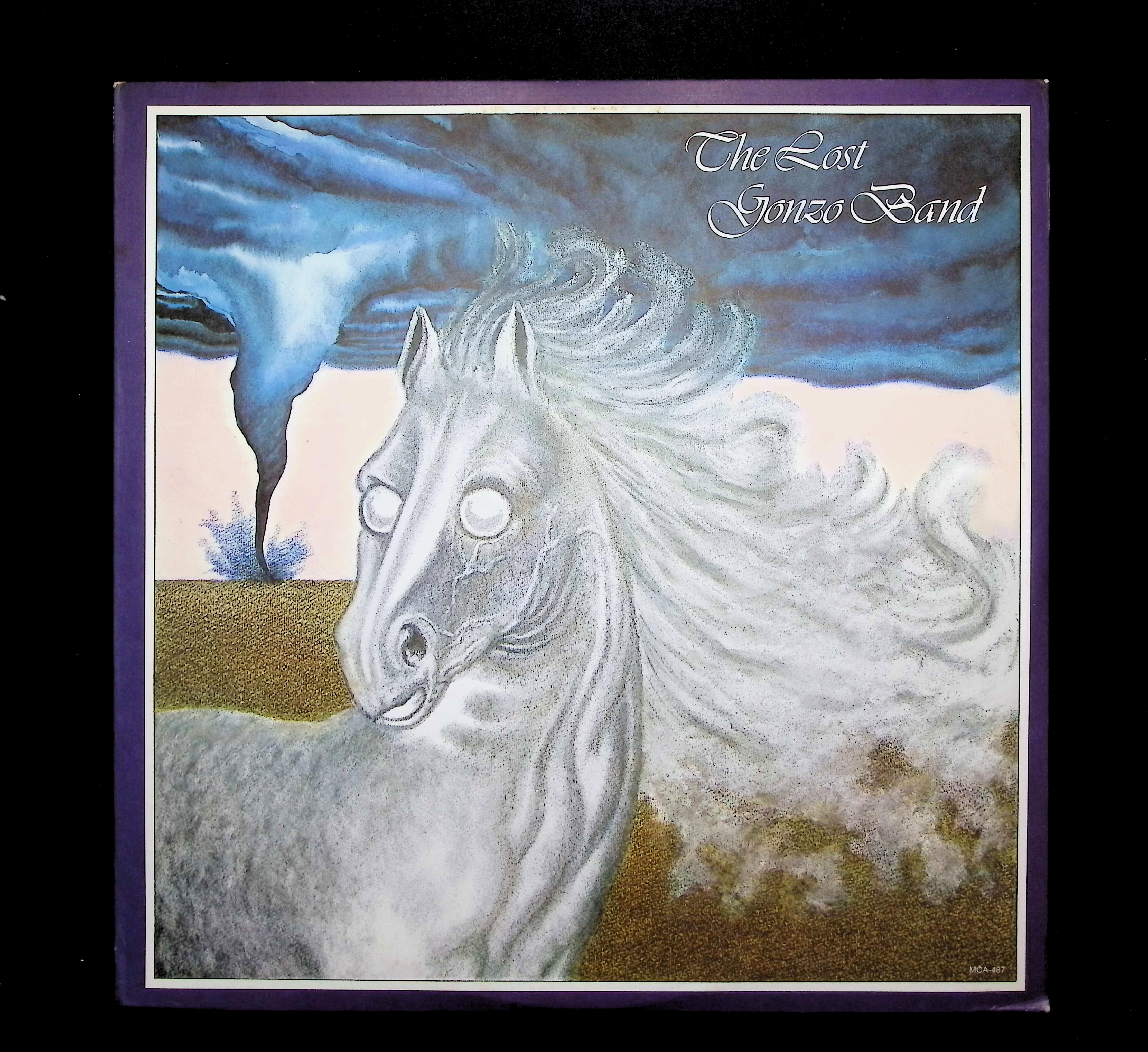 The Lost Gonzo Band The Lost Gonzo Band 12" LP 1975 MCA-487 Rock