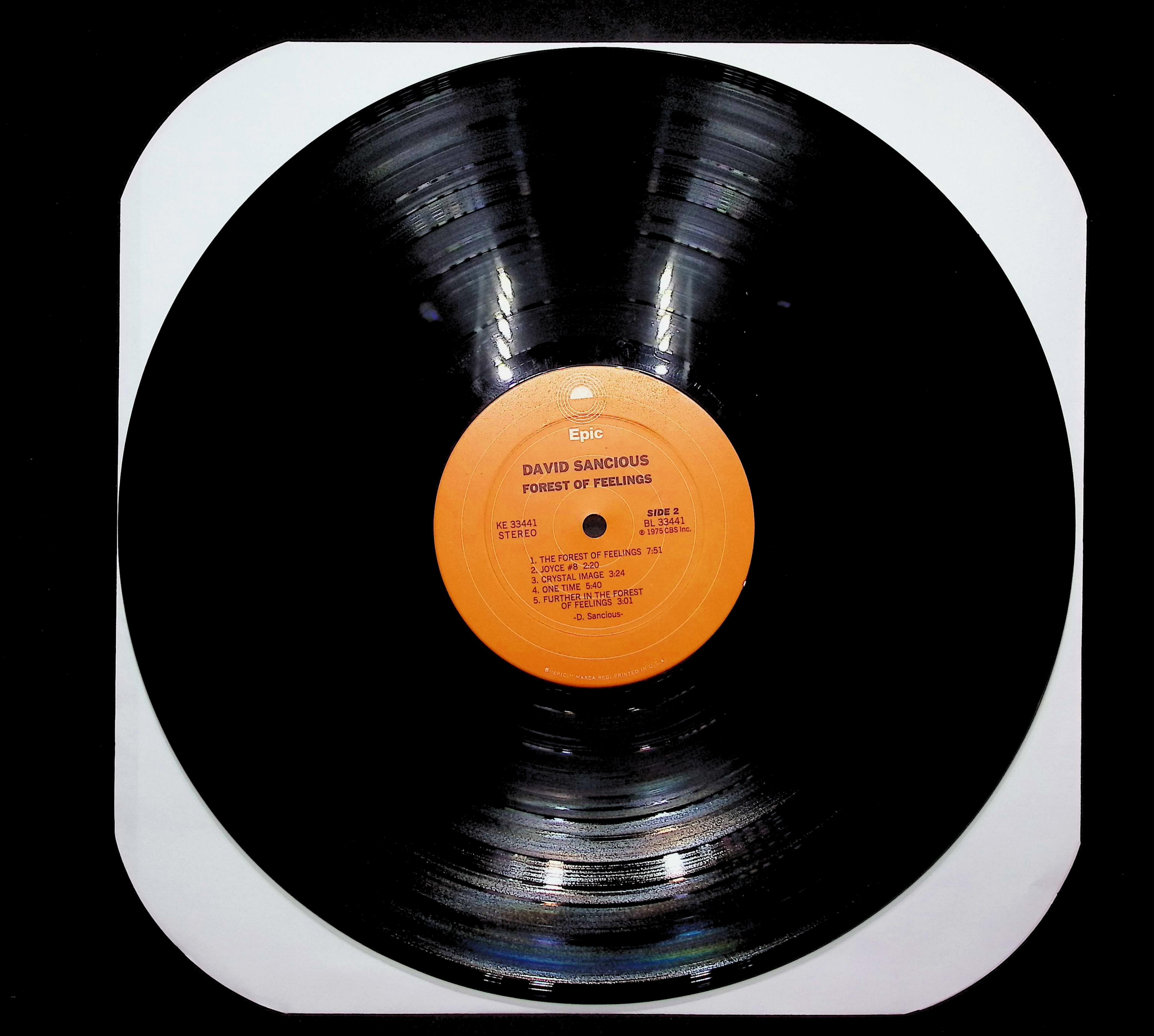 David Sancious Forest Of Feelings 1975 LP Jazz Side 1 & 2