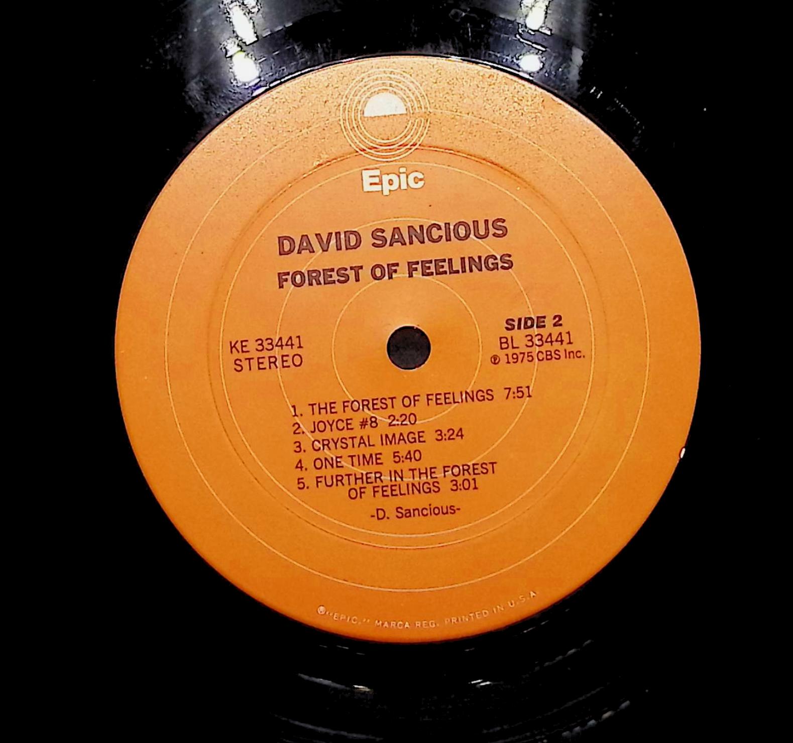 David Sancious Forest Of Feelings 1975 LP Jazz Side 1 & 2 — image 2