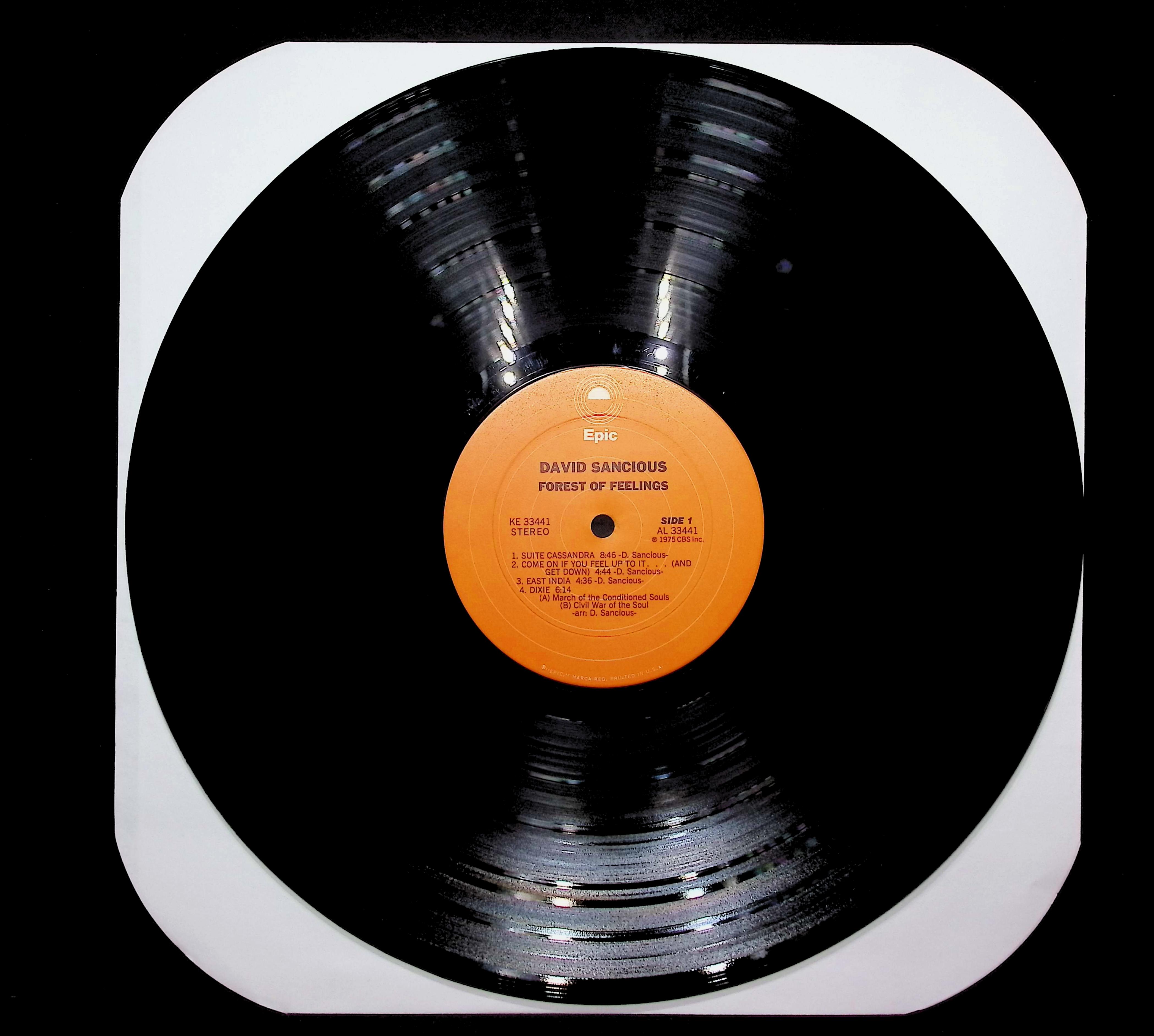David Sancious Forest Of Feelings 1975 LP Jazz Side 1 & 2 — image 3