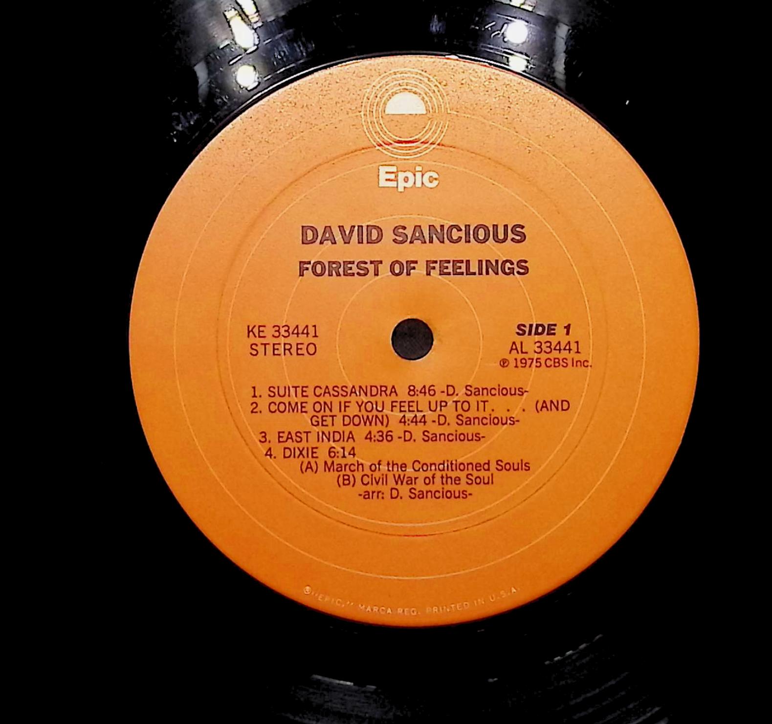 David Sancious Forest Of Feelings 1975 LP Jazz Side 1 & 2 — image 4