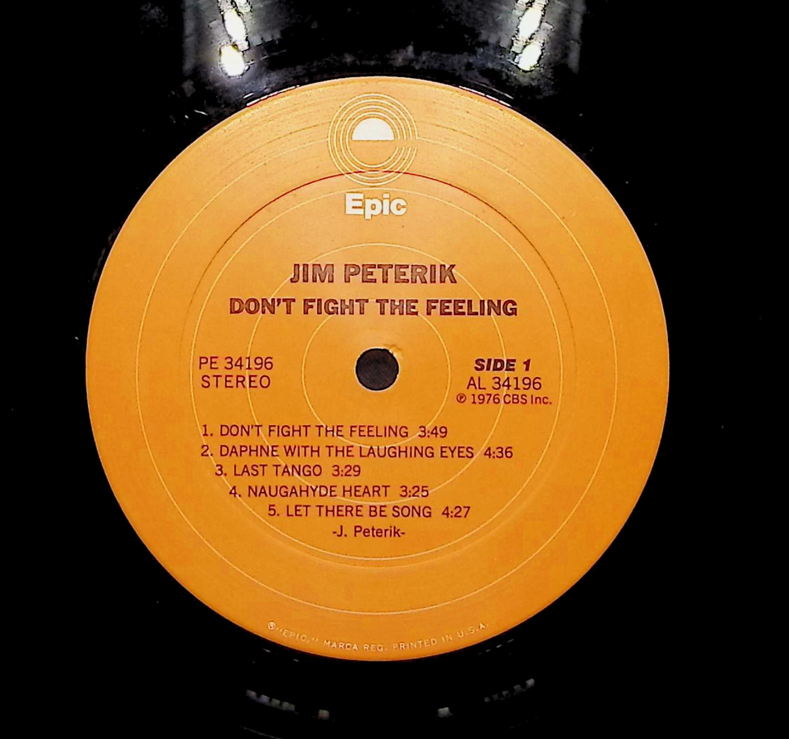 Jim Peterik Don't Fight The Feeling 1976 LP Rock Side 1 & 2 — image 2