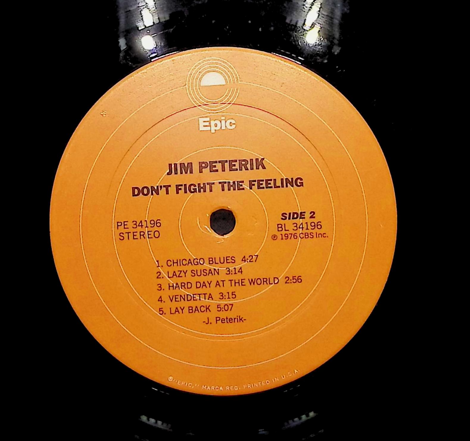 Jim Peterik Don't Fight The Feeling 1976 LP Rock Side 1 & 2 — image 4