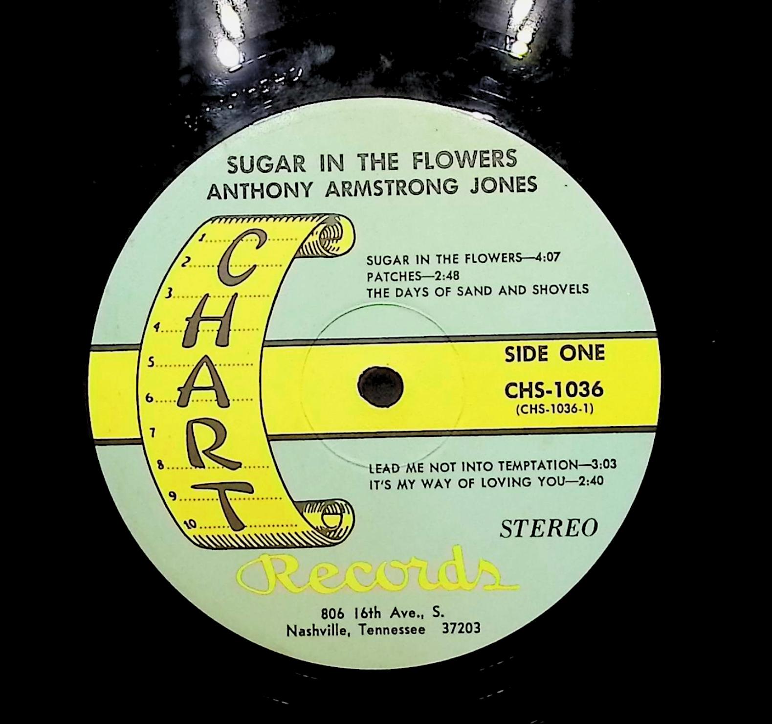 Anthony Armstrong Jones Sugar In The Flowers 1970 LP Pop  — image 4