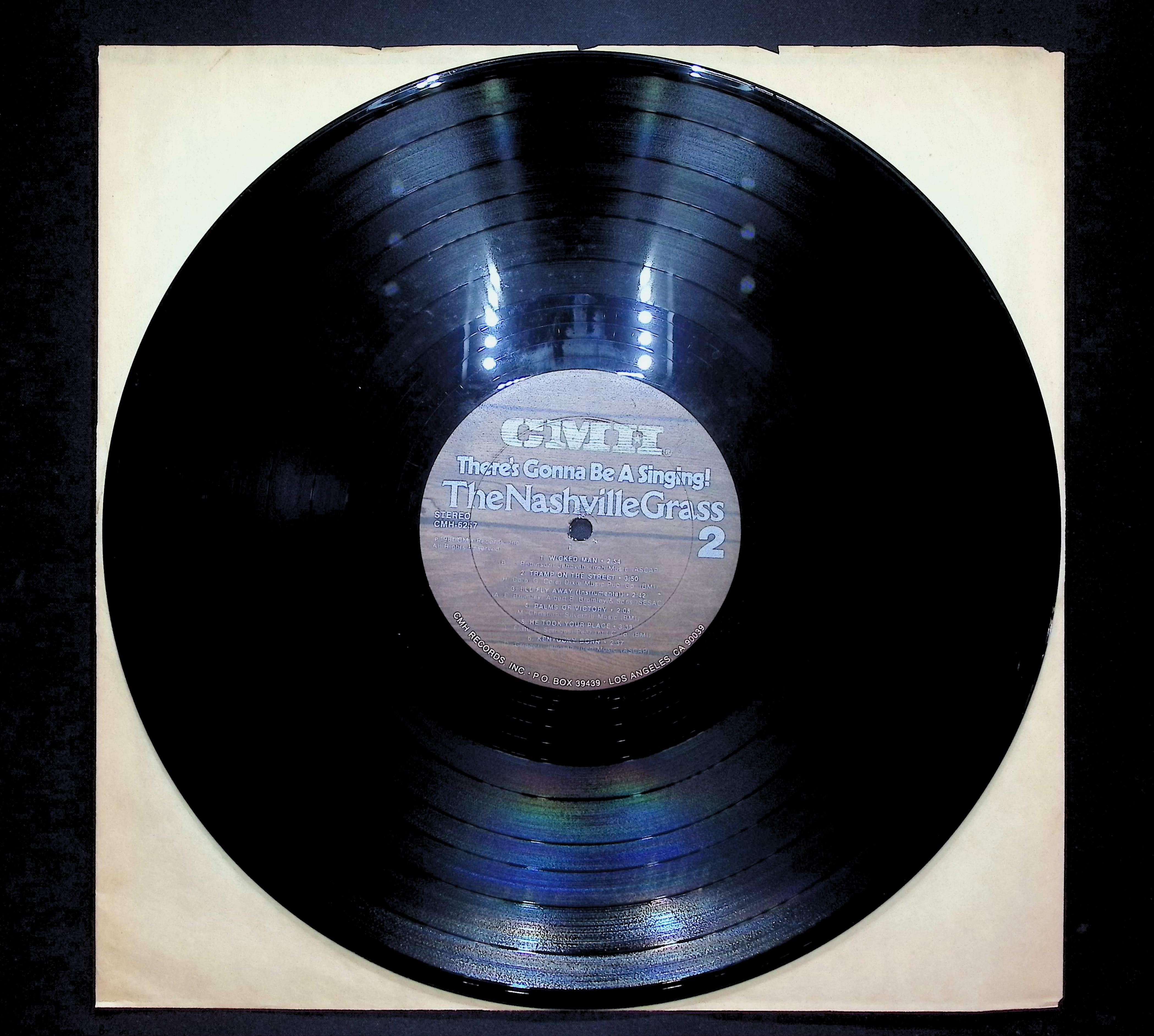 The Nashville Grass There's Gonna Be A Singing! 1981 LP
