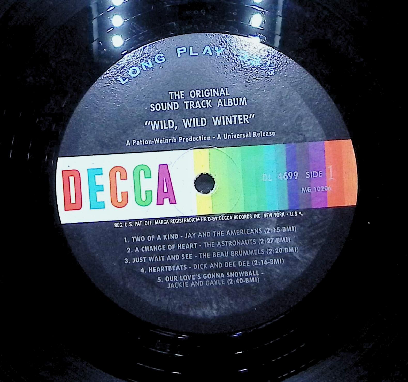 Various Artists Wild, Wild Winter 1965 LP Rock Side 1 & 2 — image 4