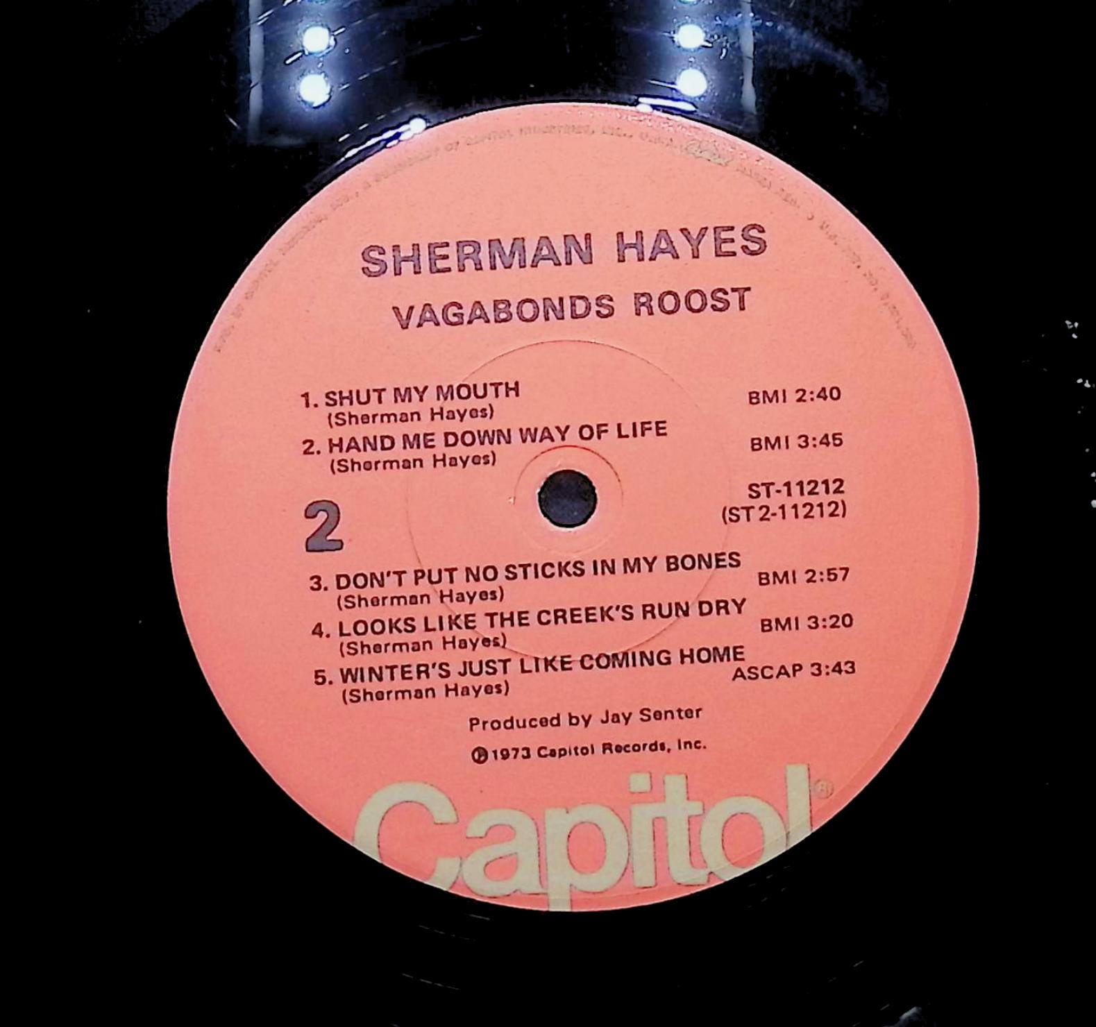 Sherman Hayes Vagabonds Roost 1973 LP Rock Side 1 & 2  — image 2