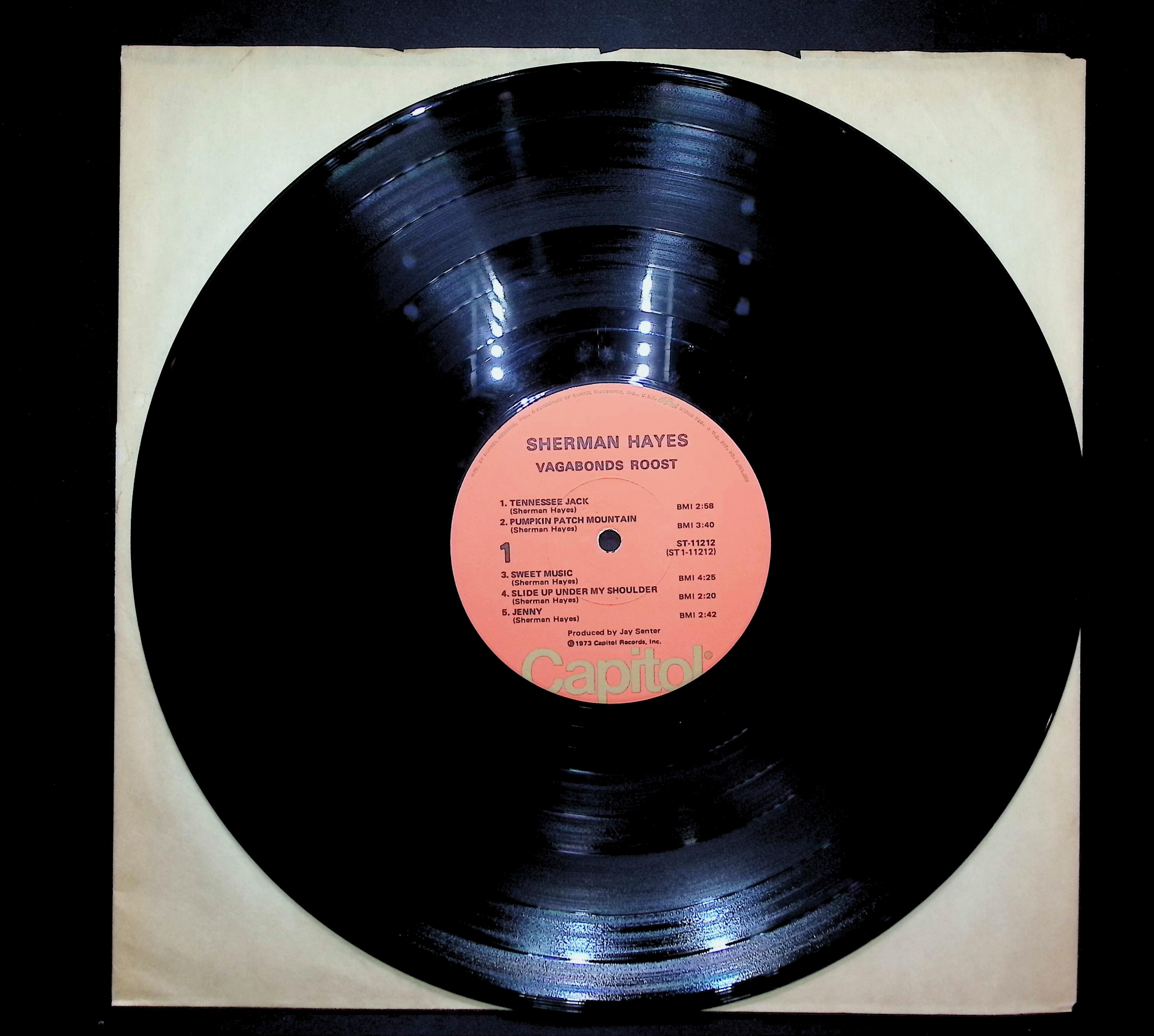 Sherman Hayes Vagabonds Roost 1973 LP Rock Side 1 & 2  — image 3