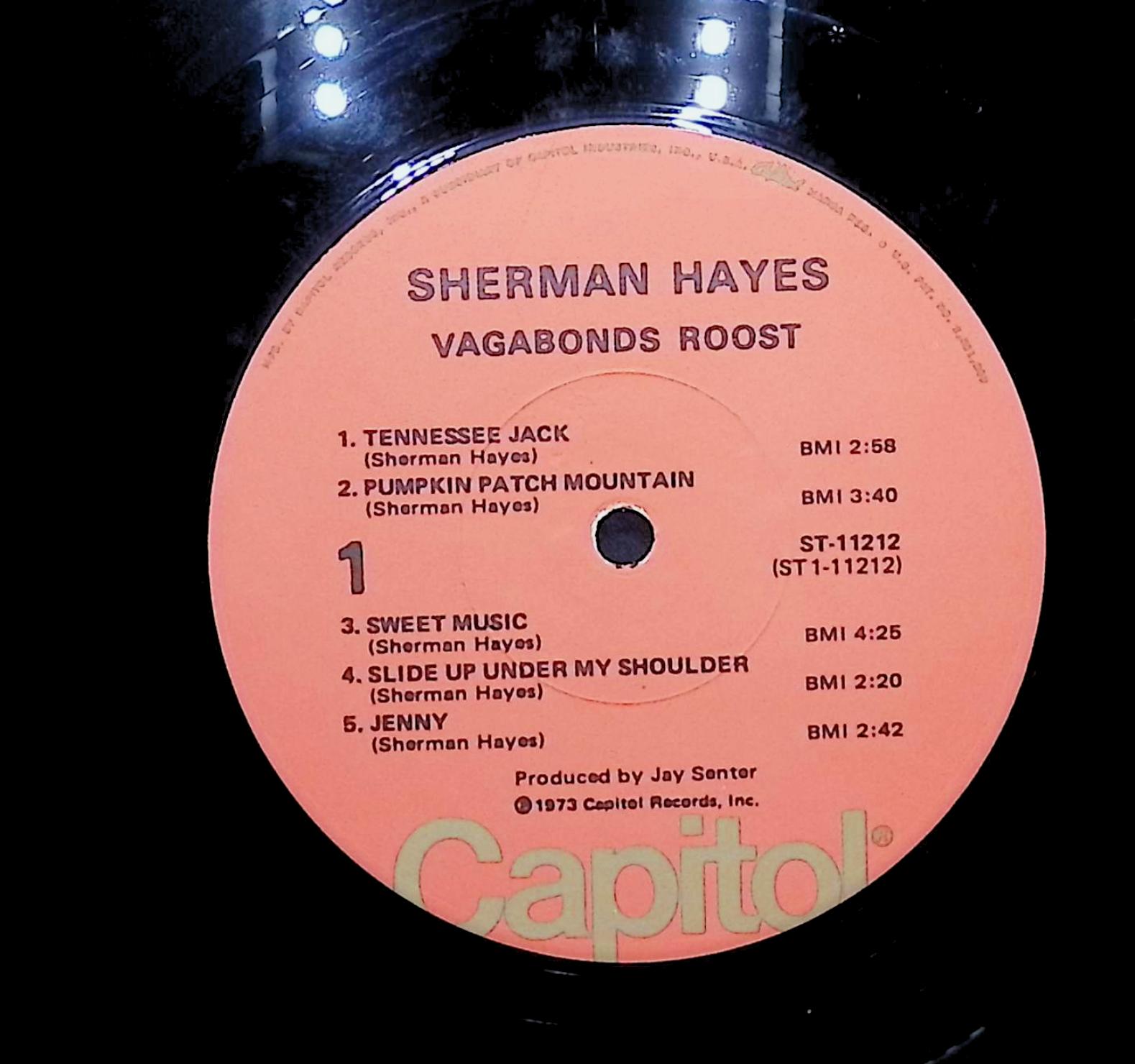 Sherman Hayes Vagabonds Roost 1973 LP Rock Side 1 & 2  — image 4