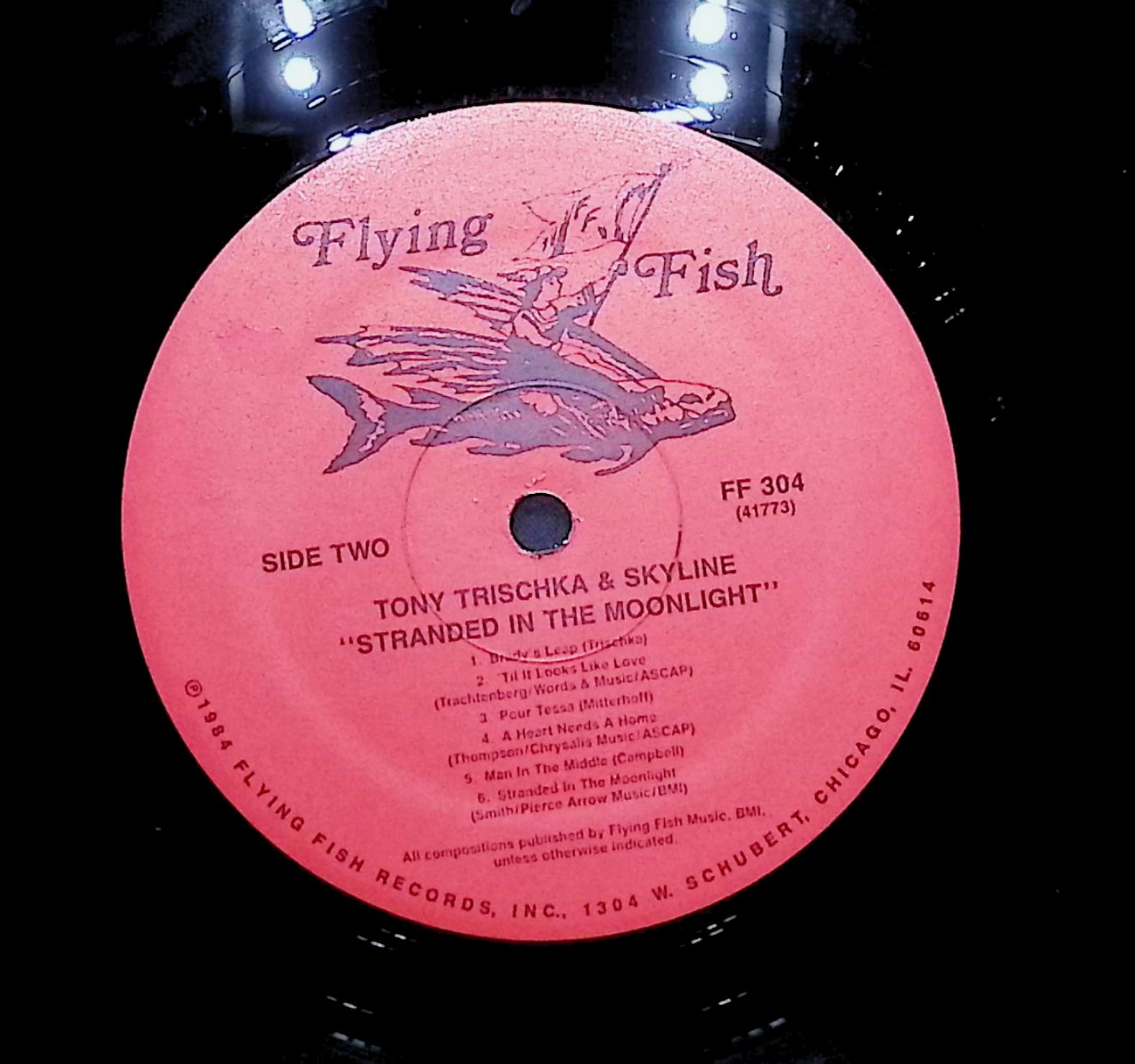 Tony Trischka And Skyline Stranded In The Moonlight 1984 LP Folk, World, & Country — image 2