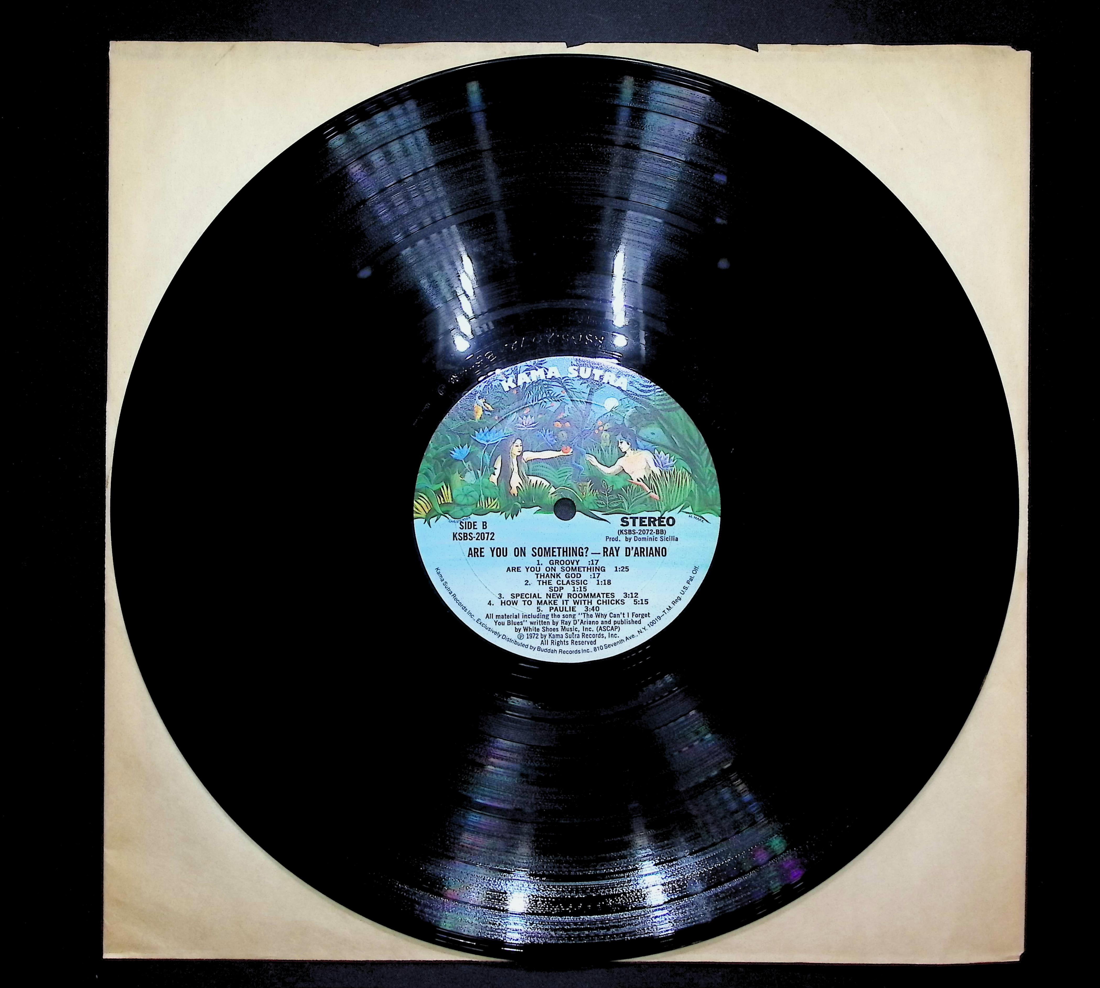 Ray D' Ariano Are You On Something? 1972 LP Non-Music