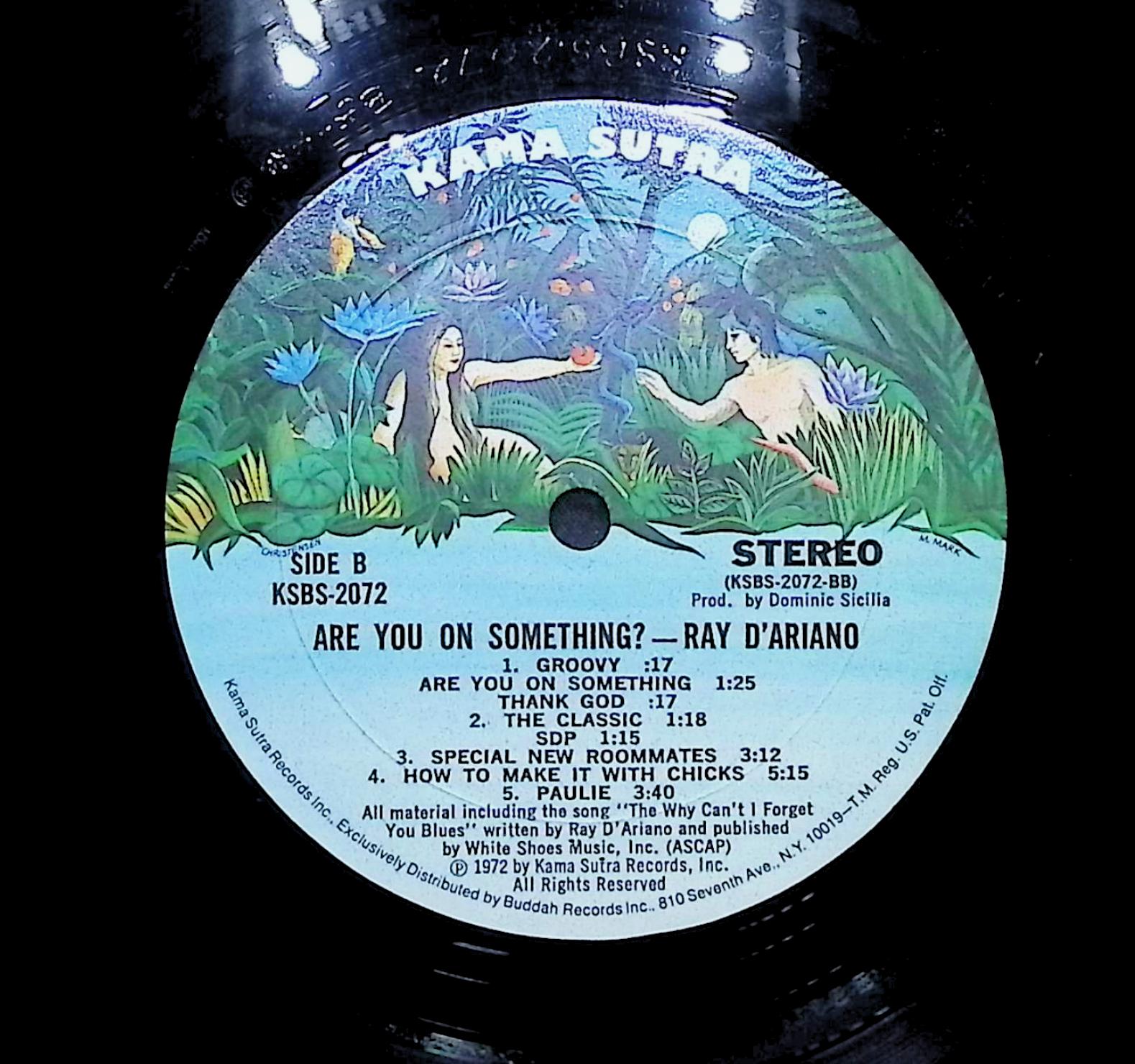 Ray D' Ariano Are You On Something? 1972 LP Non-Music  — image 2