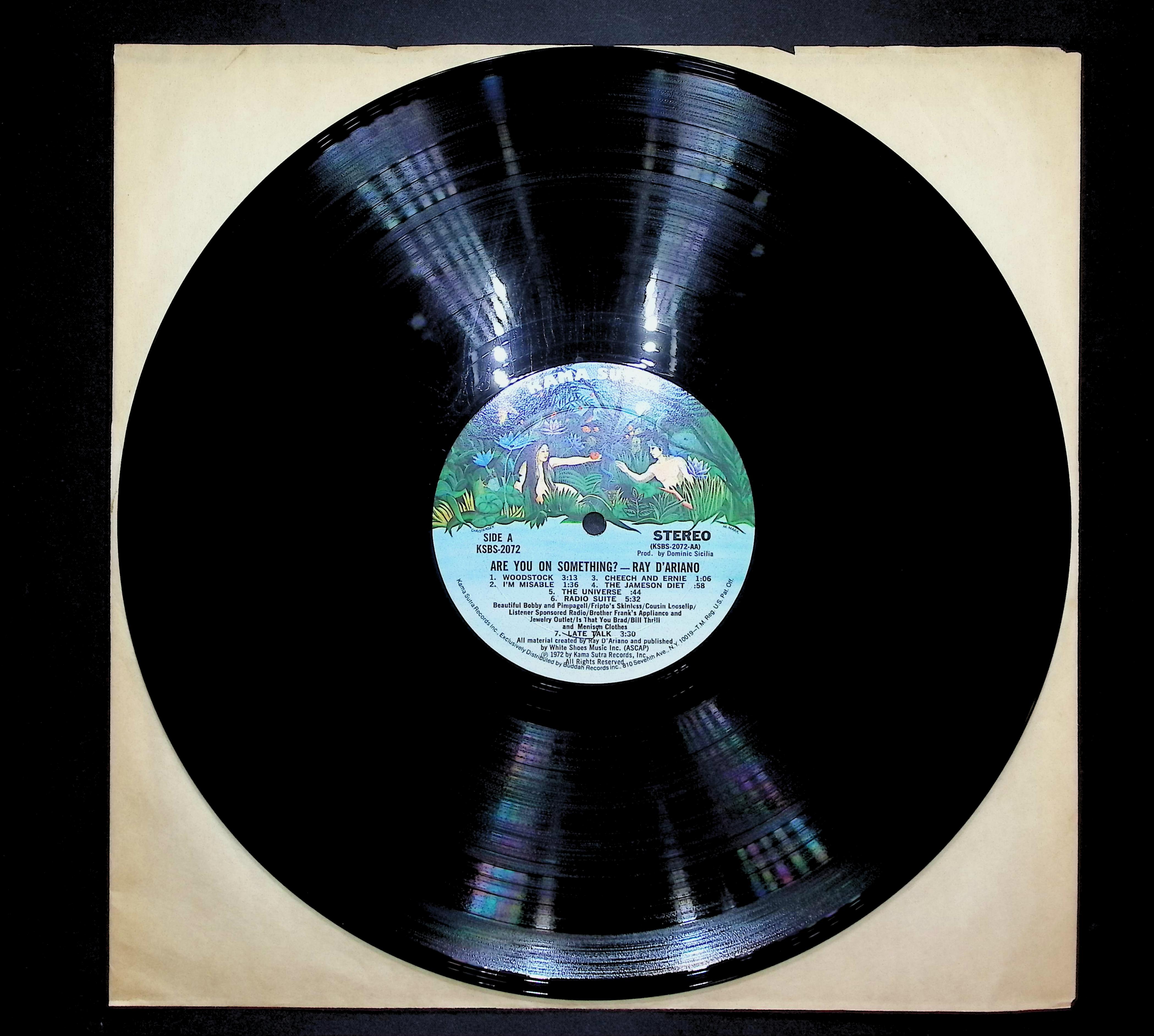 Ray D' Ariano Are You On Something? 1972 LP Non-Music  — image 3