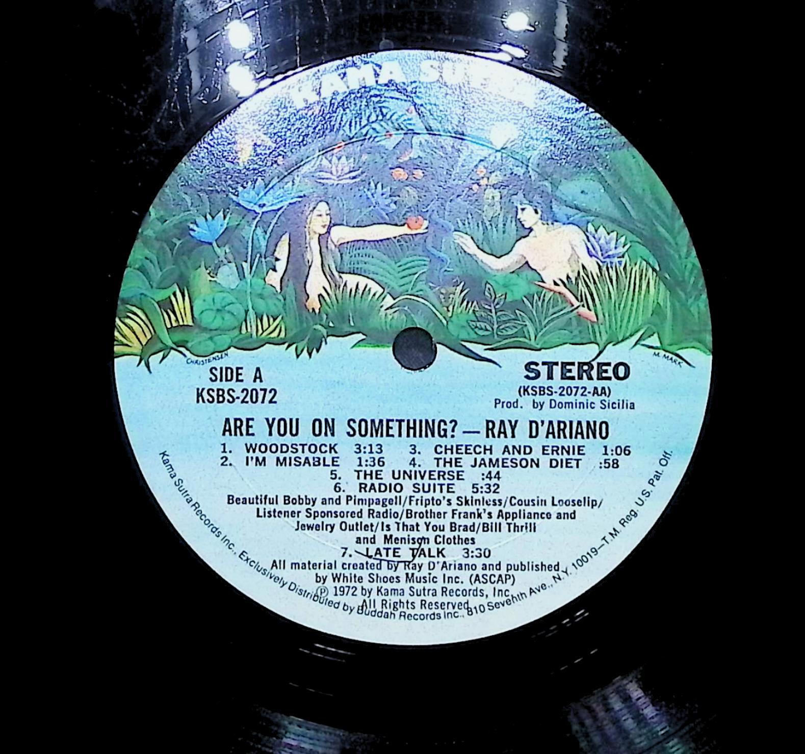 Ray D' Ariano Are You On Something? 1972 LP Non-Music  — image 4