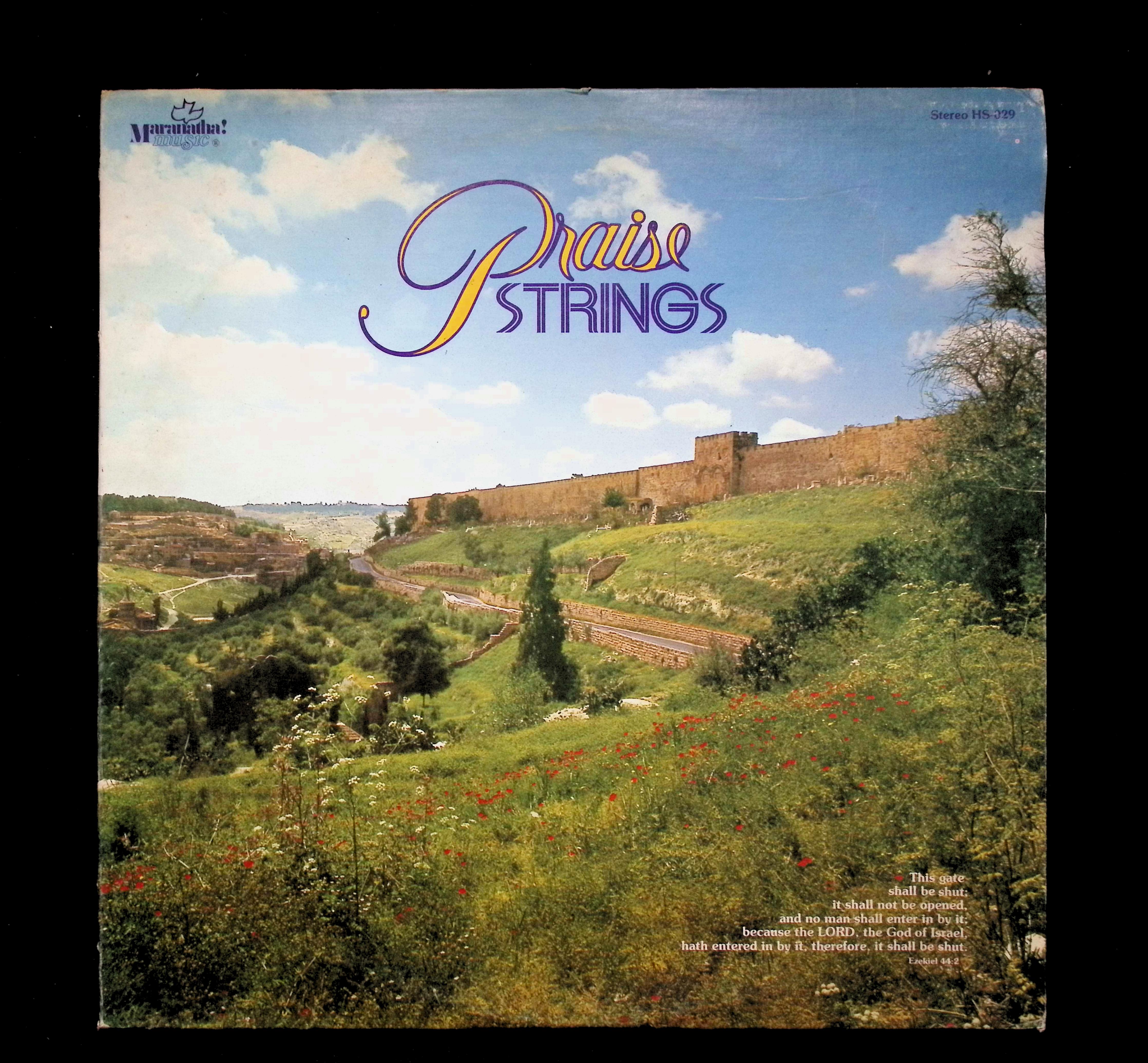 Praise Strings Praise Strings LP 1977 Maranatha! Music Pop