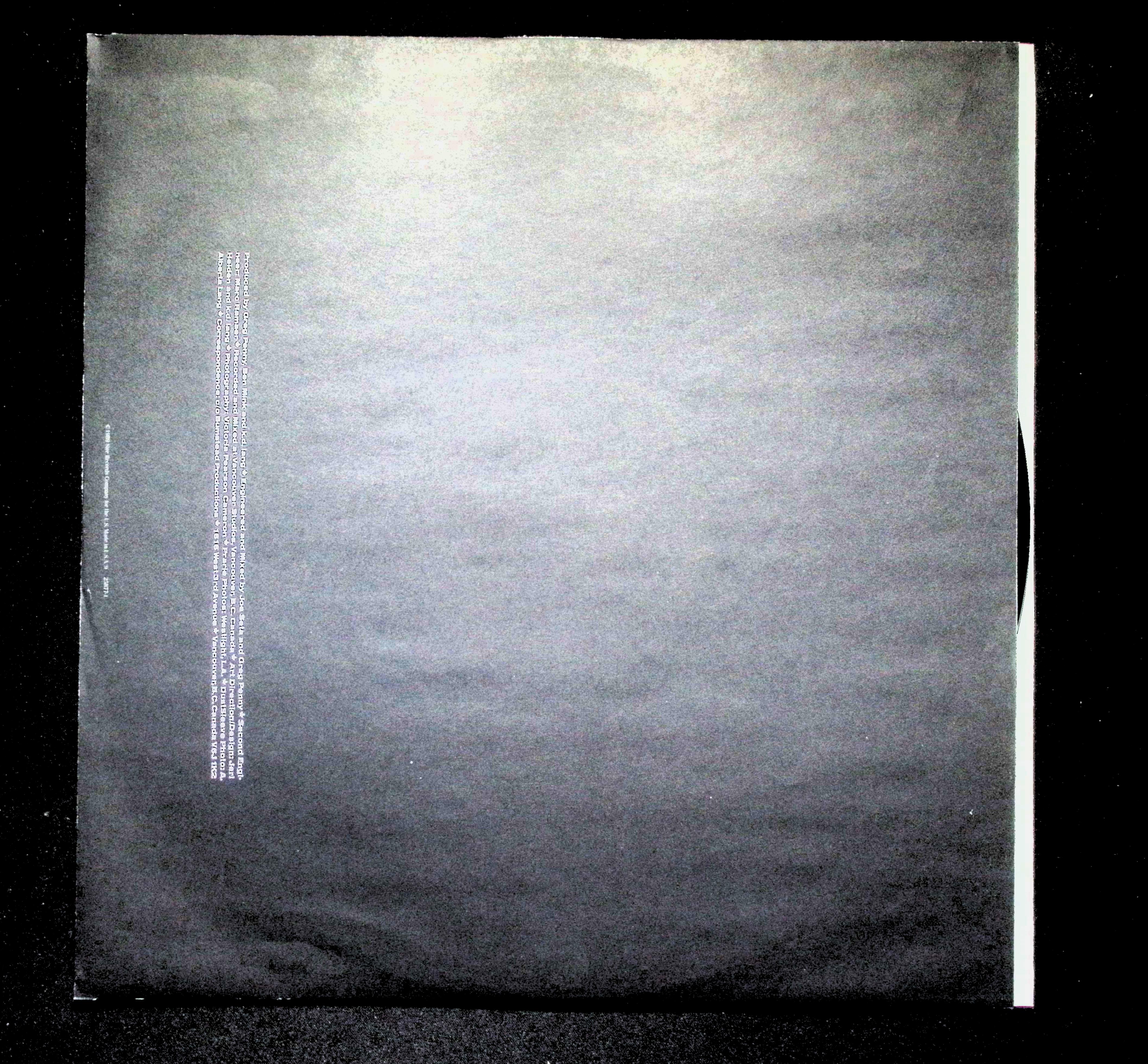 k.d. lang Absolute Torch And Twang LP 1989 Sire Rock — image 3