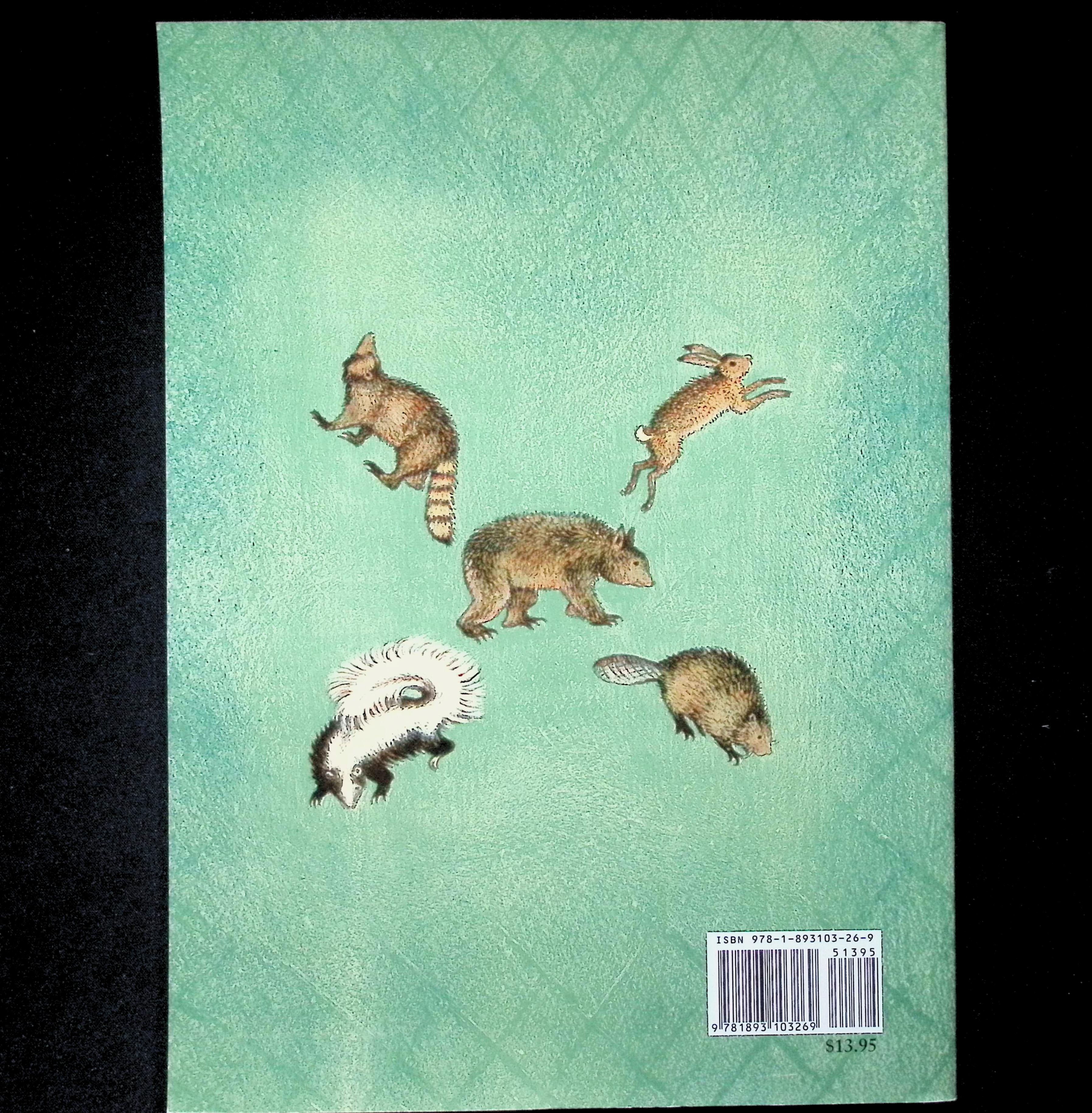 Abraham Lincoln - Homeschool Science STEM Living Book — image 2