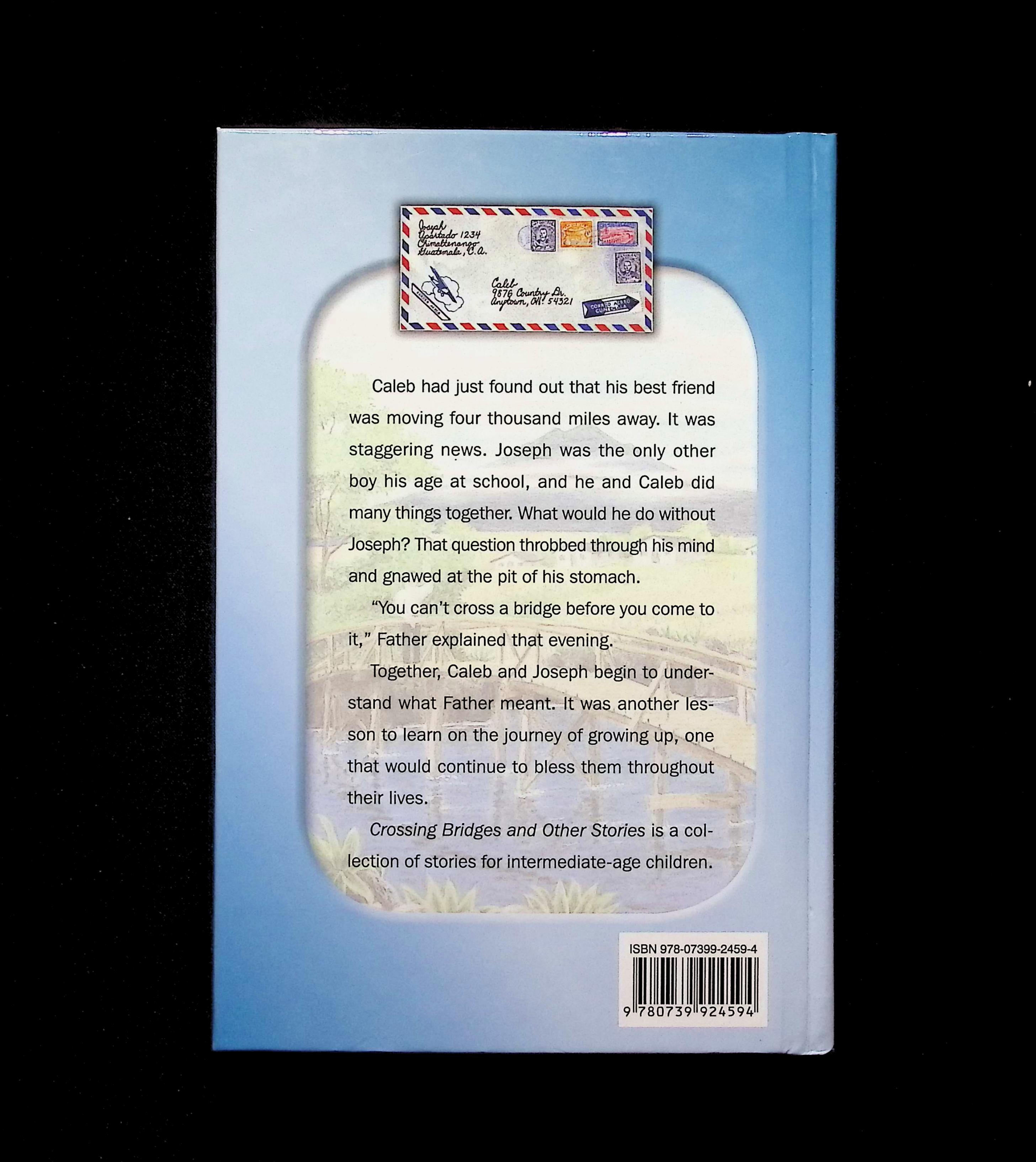 Crossing Bridges - Living Book Homeschool Literature Reading — image 2