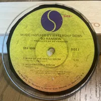 Handmade Vintage Vinyl Record Label Resin Coaster - Bo Hansson