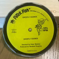 Handmade Vintage Vinyl Record Label Resin Coaster - Ghostly Sounds