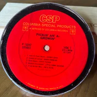 Handmade Vintage Vinyl Record Label Resin Coaster - Pickin' An' A-Growin'