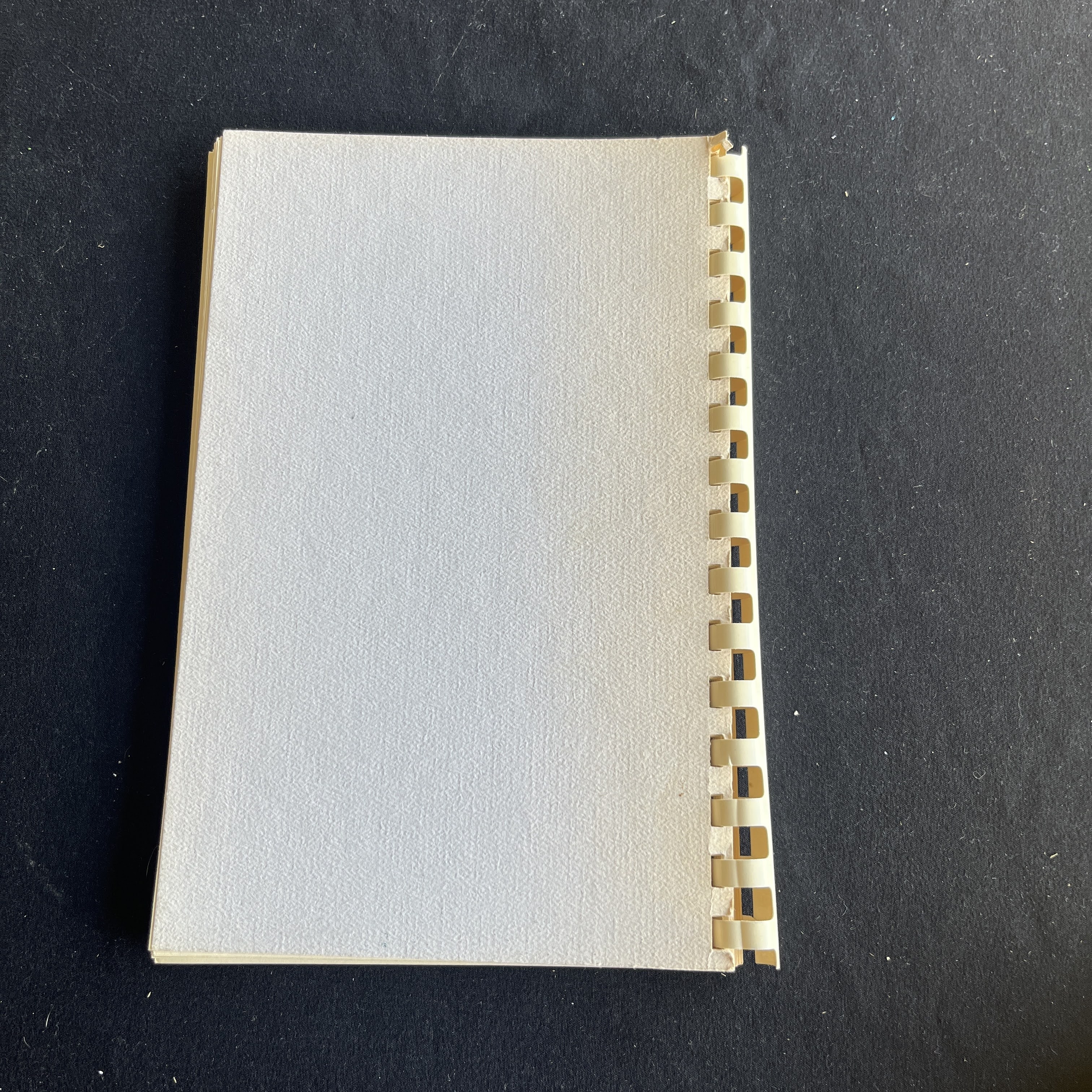 Plum Good Cookin': Plummer Family Reunion Cookbook — image 5