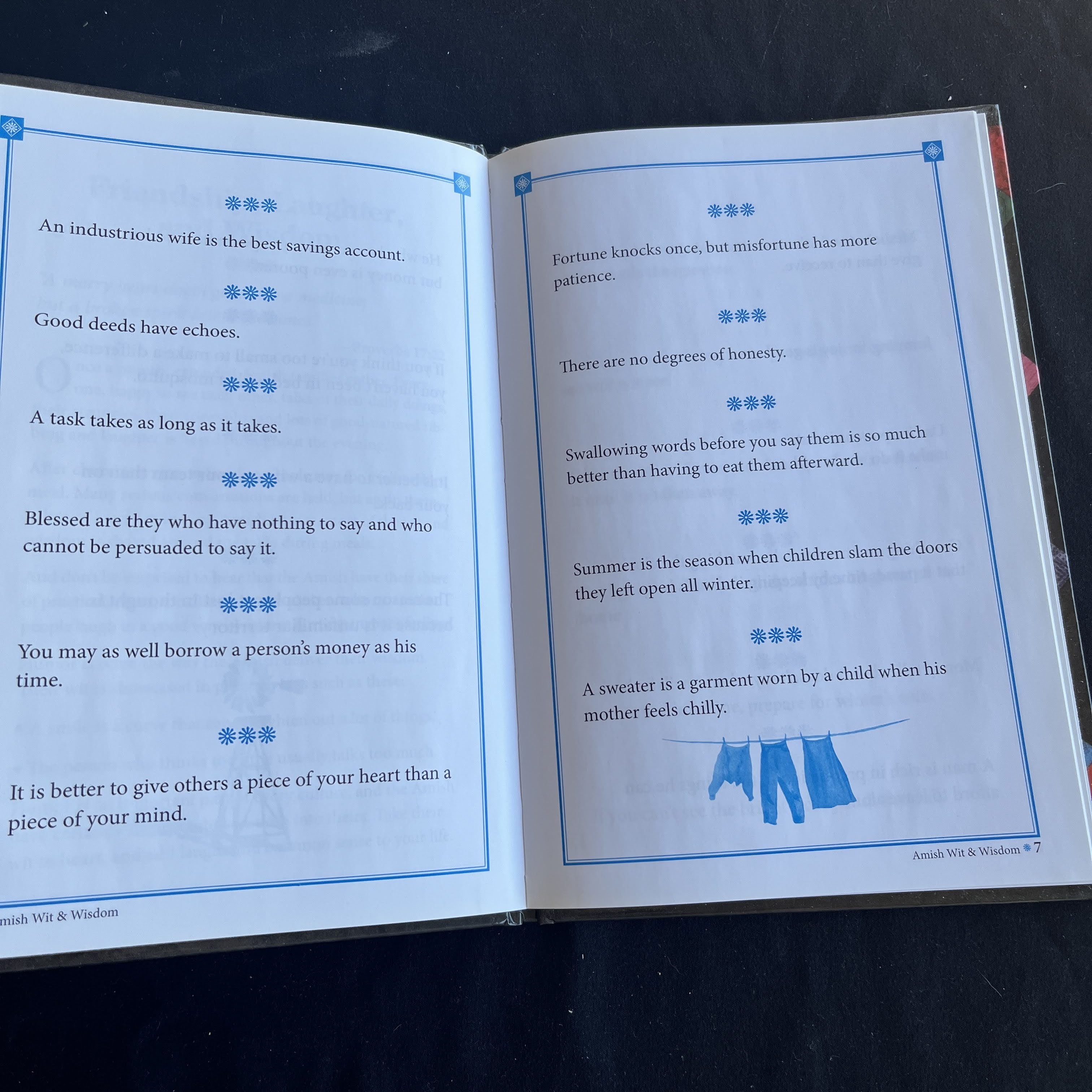 Amish Wit & Wisdom — image 3