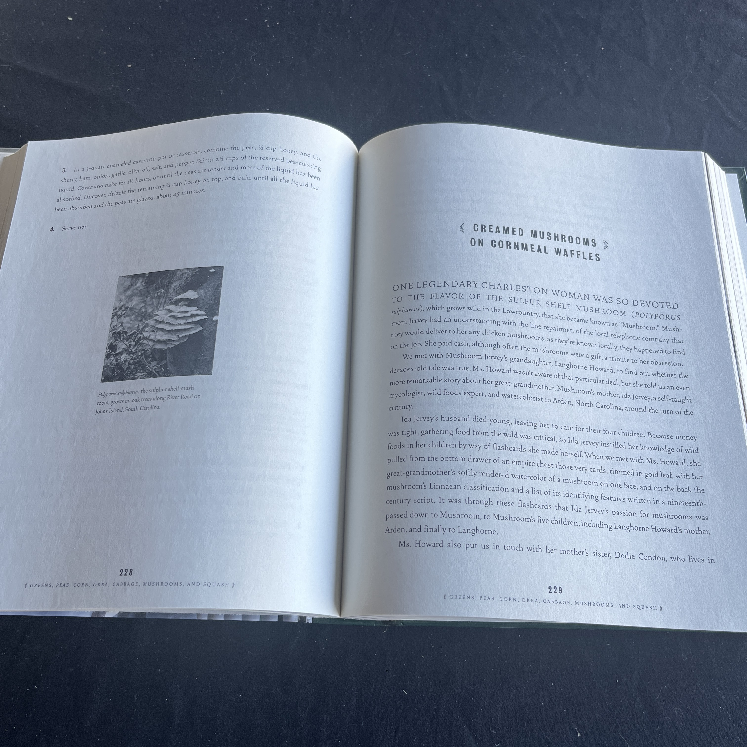 Southern Cookbook: Stories and Recipes — image 2