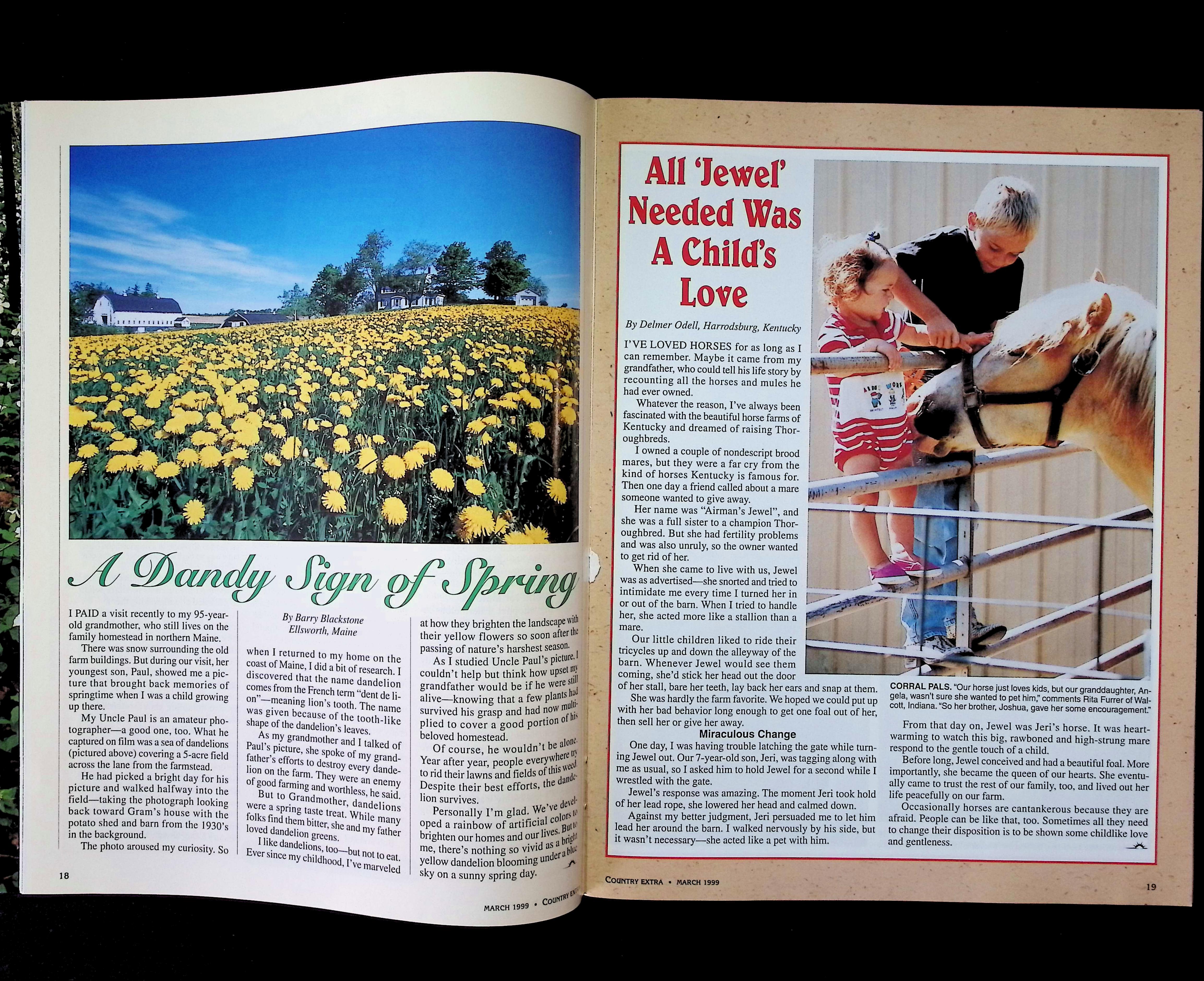 Country Extra — image 3